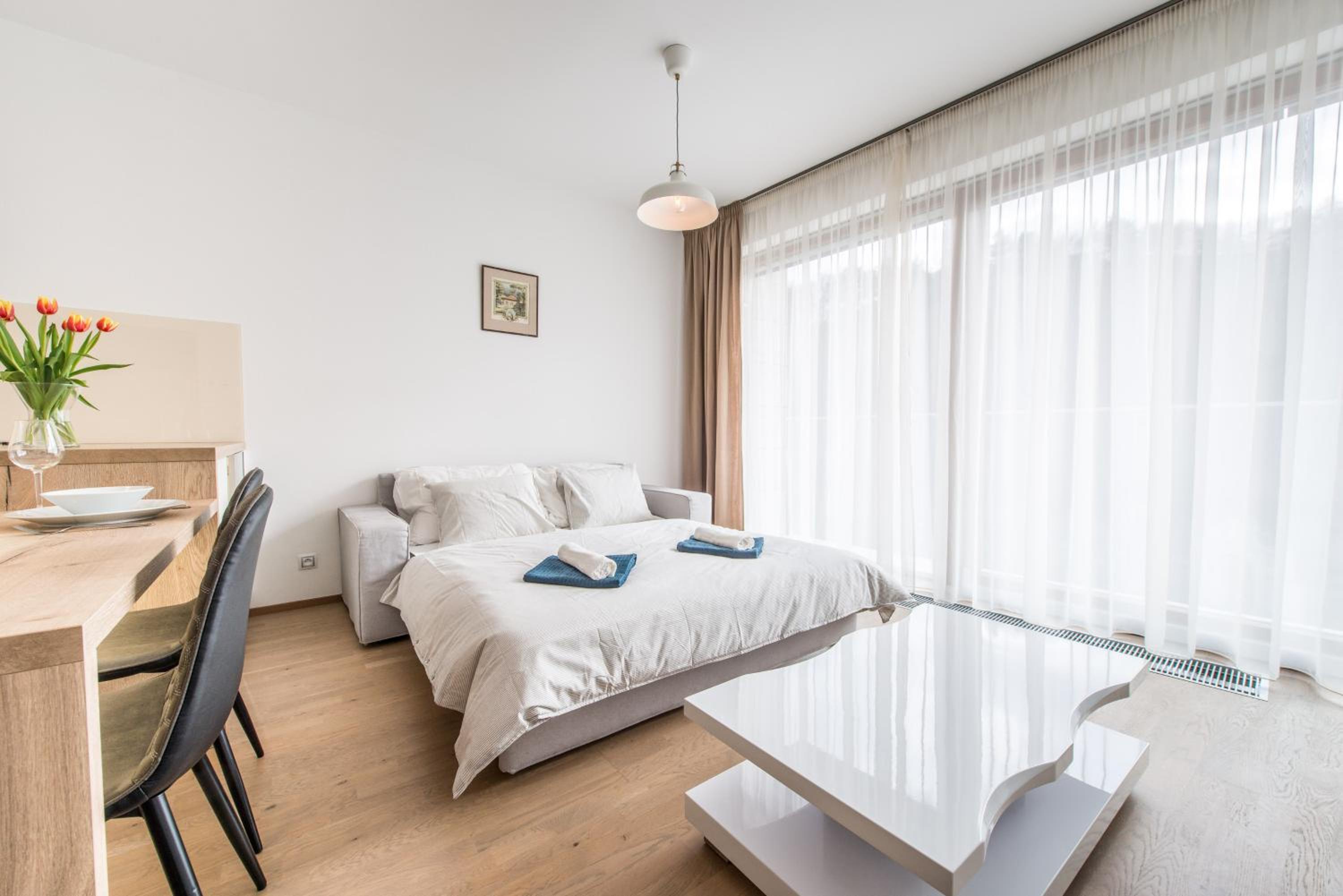Mozart Central Apartments with garage