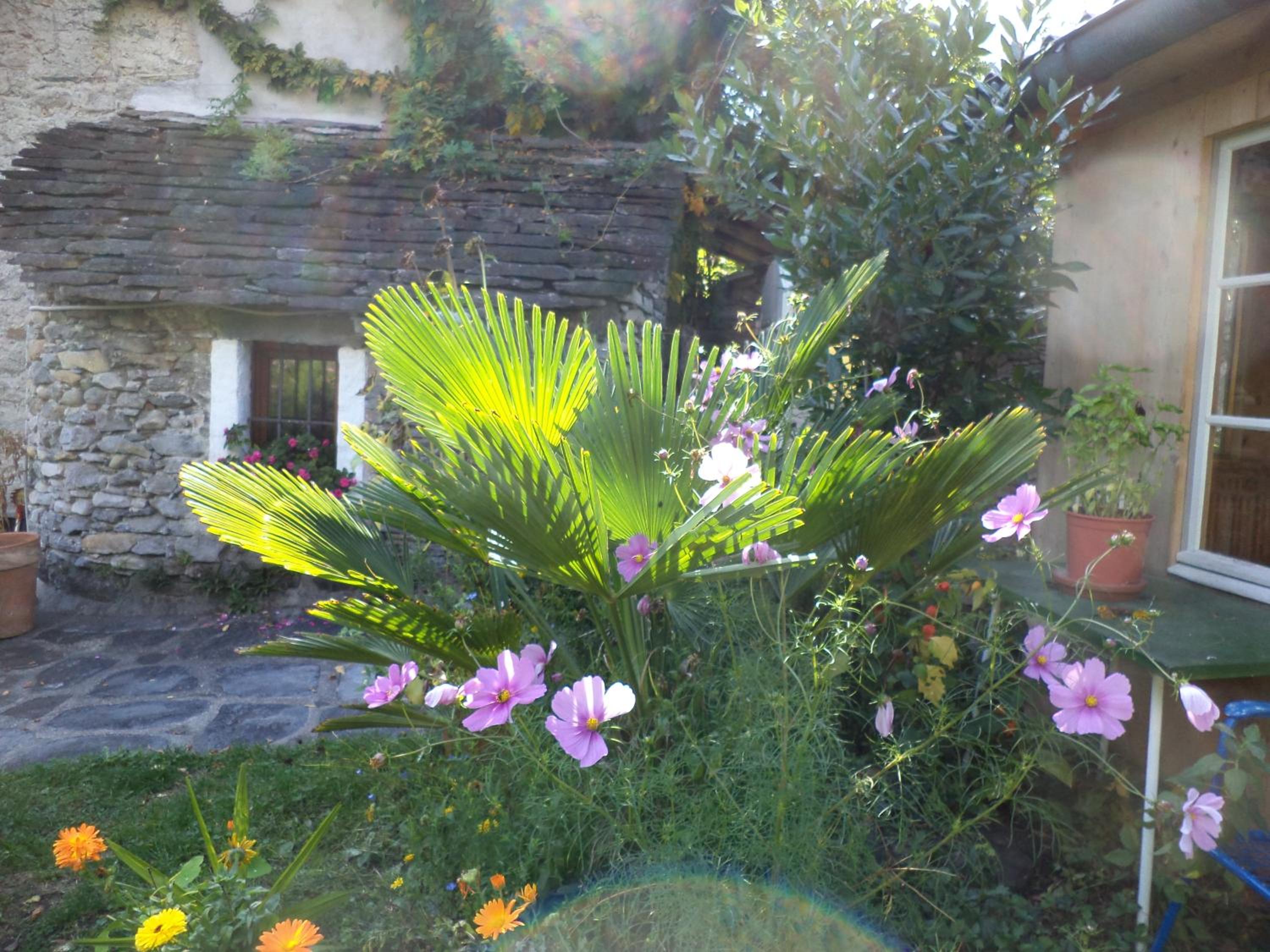 B&B Casa Codega