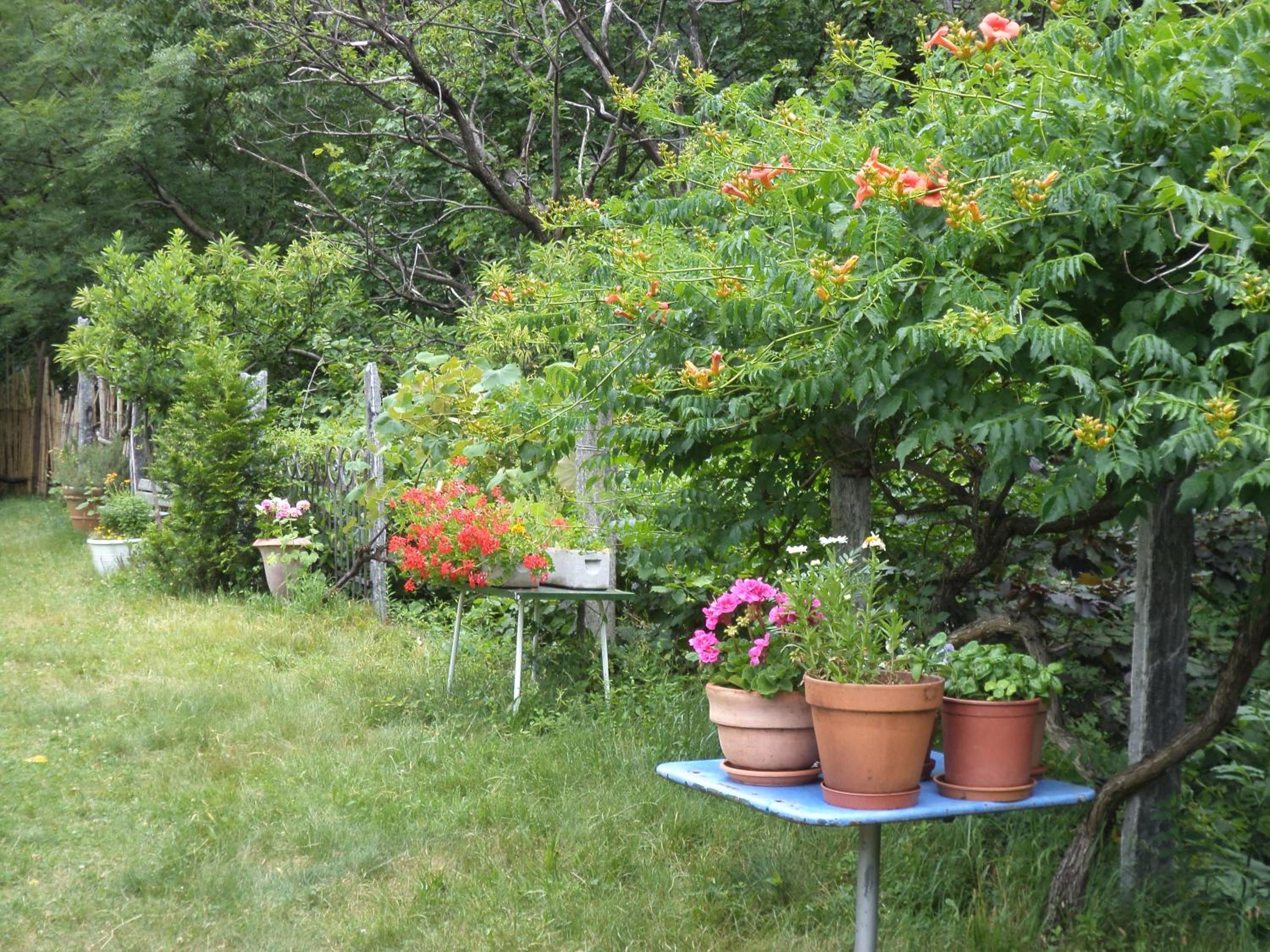 B&B Casa Codega