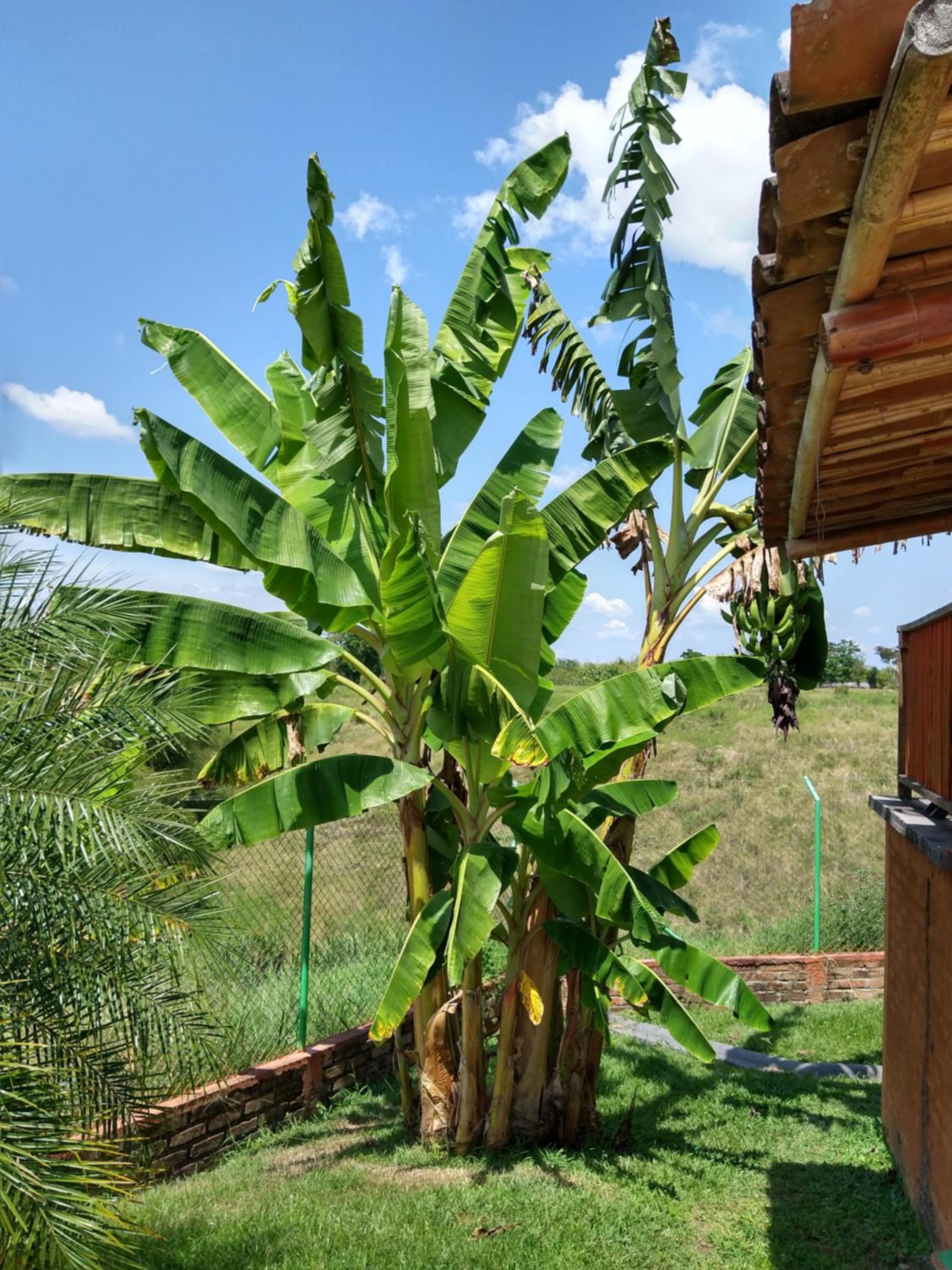 Finca La Gaviota