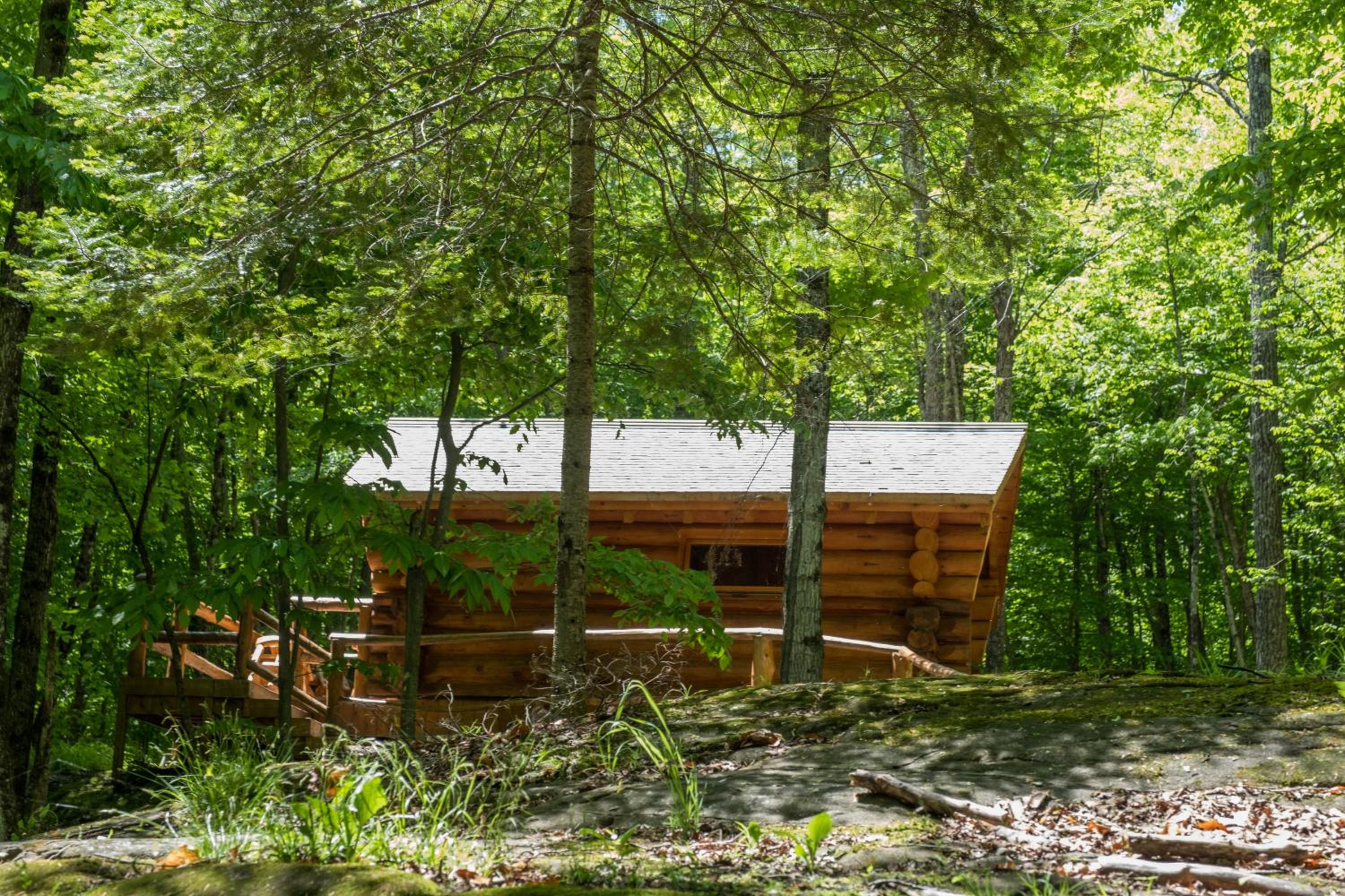 Parc Omega view 5