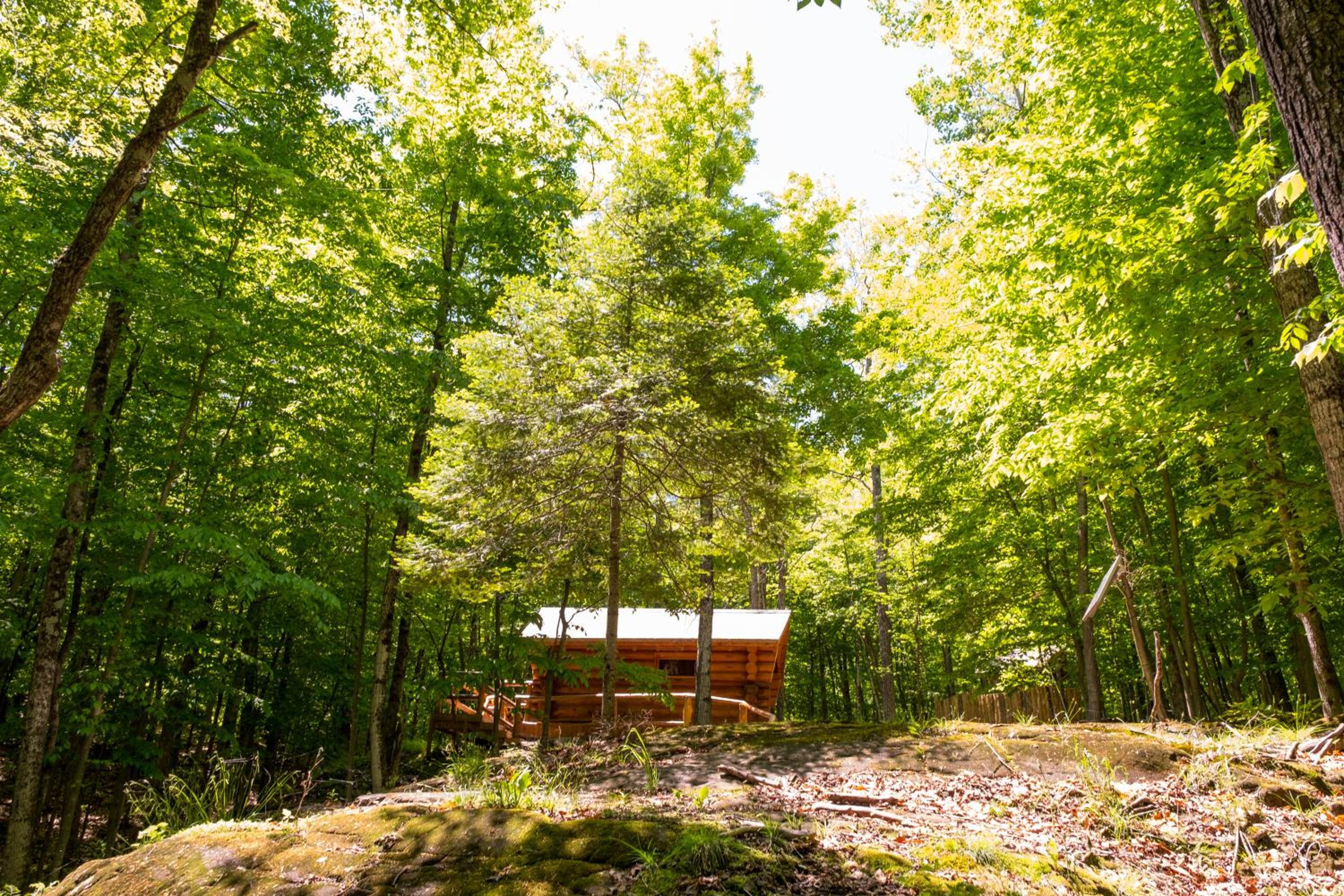 Parc Omega view 4