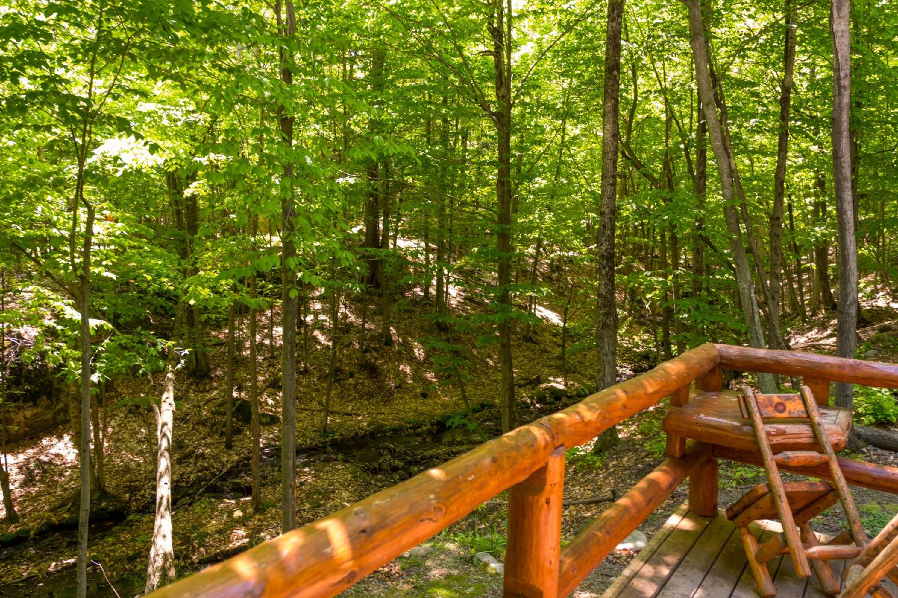 Parc Omega view 3