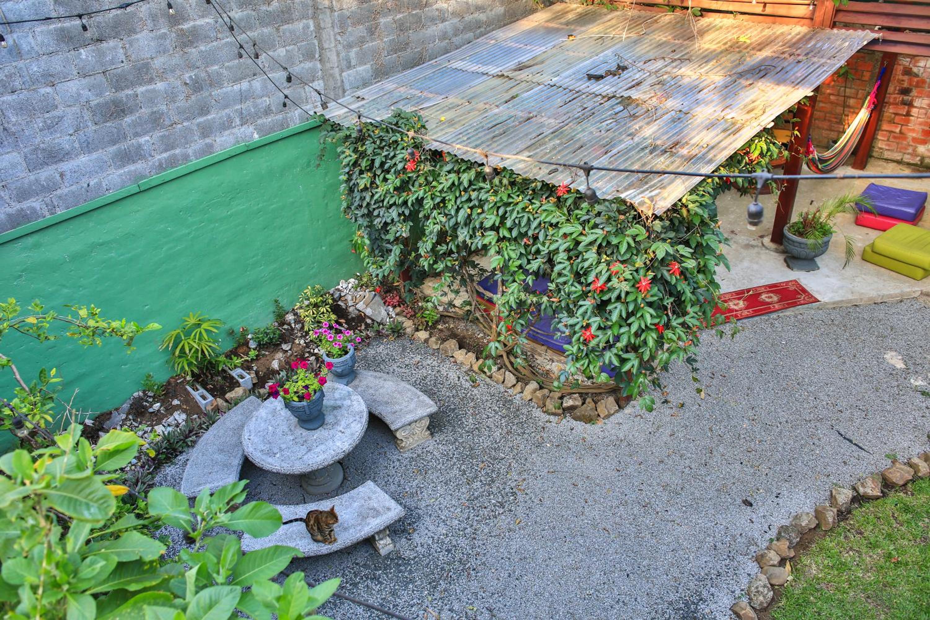 Hotel Mangifera Hostel - Image 1