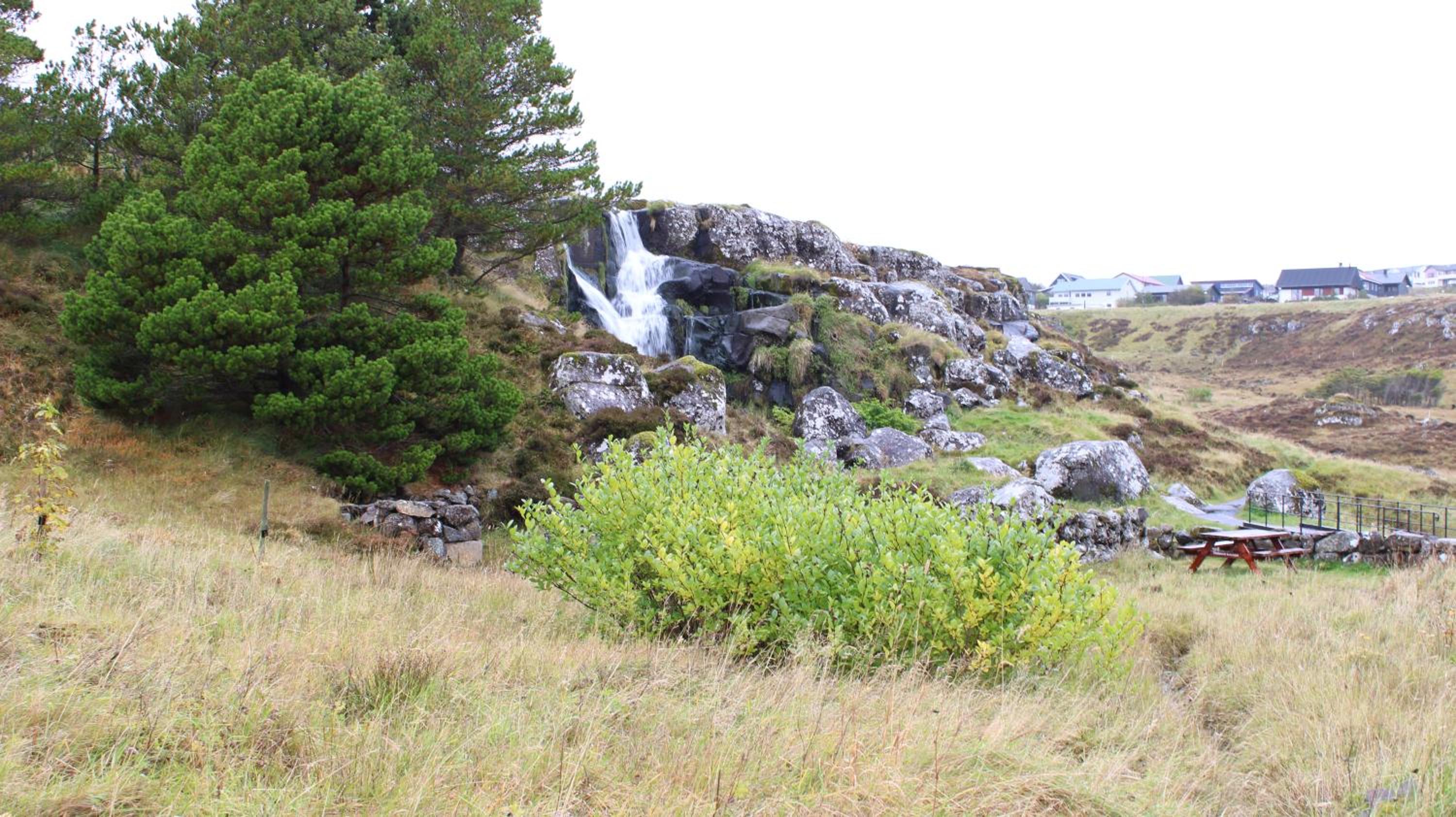 Photo 7