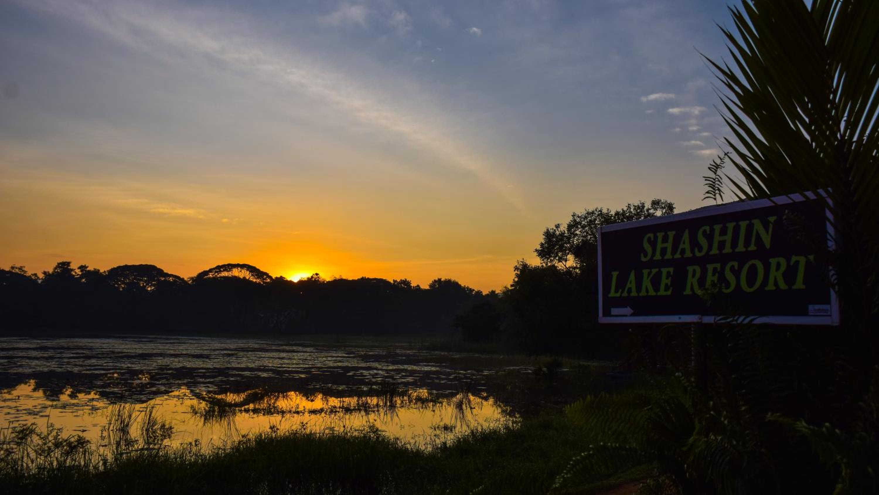 Photo 28