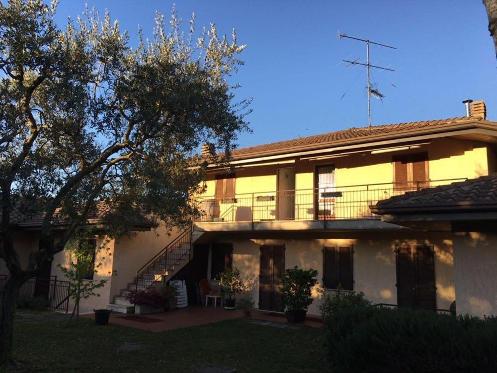Un nido sul Lago di Garda photo 5