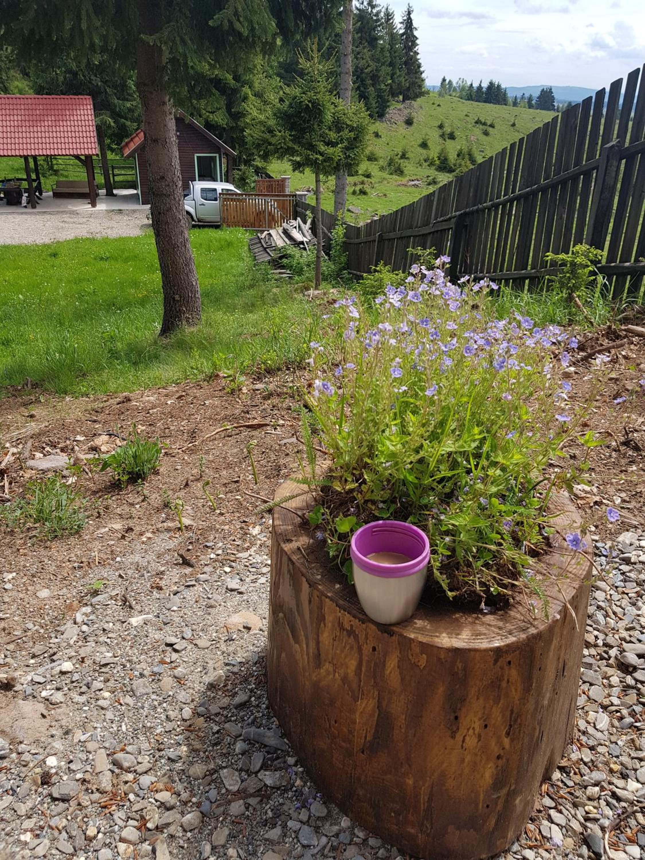 Photo 11