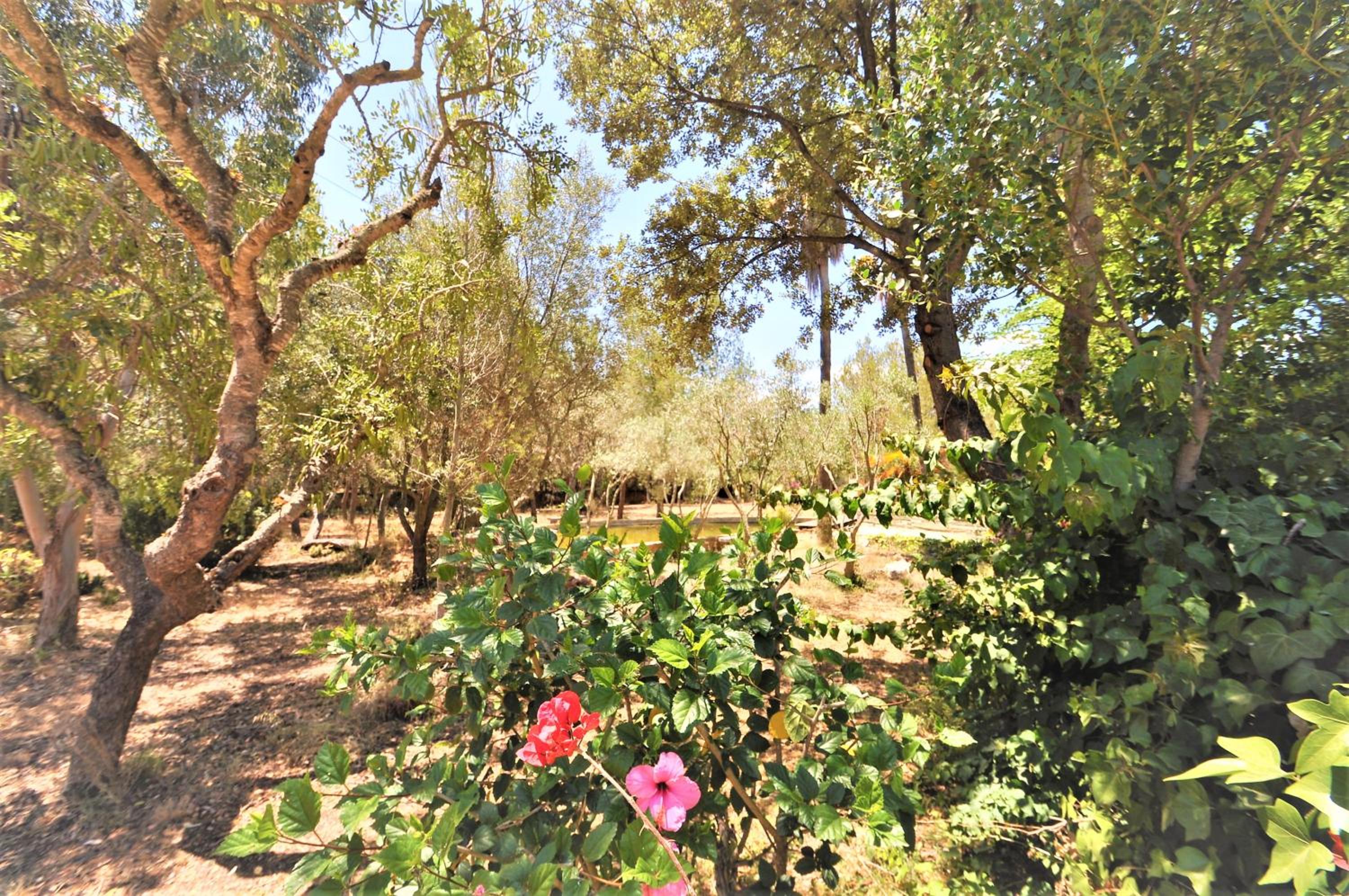 SA ROTA Finca en Bunyola 8 personas- Muy tranquilo view 3