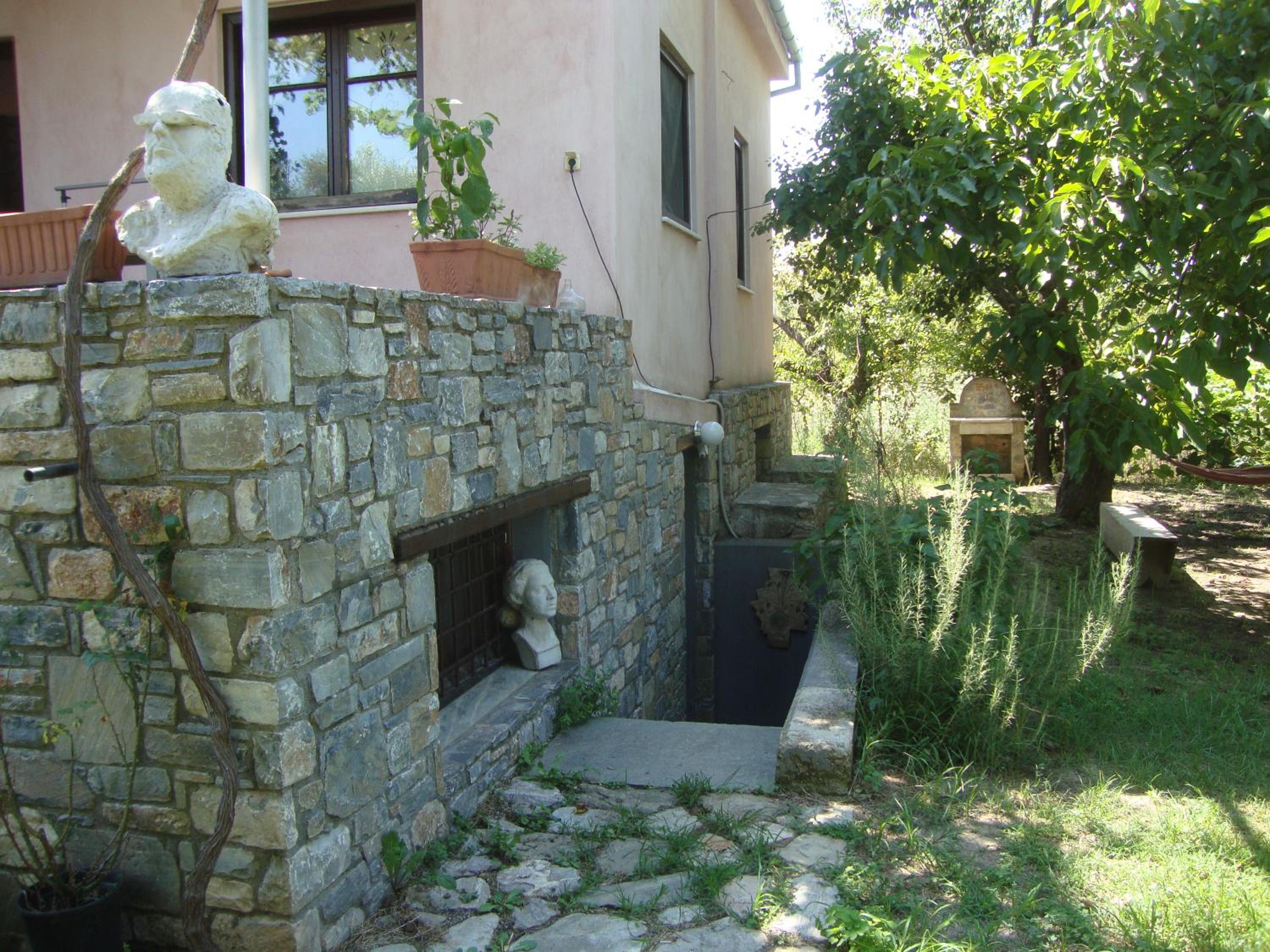 Photo 19