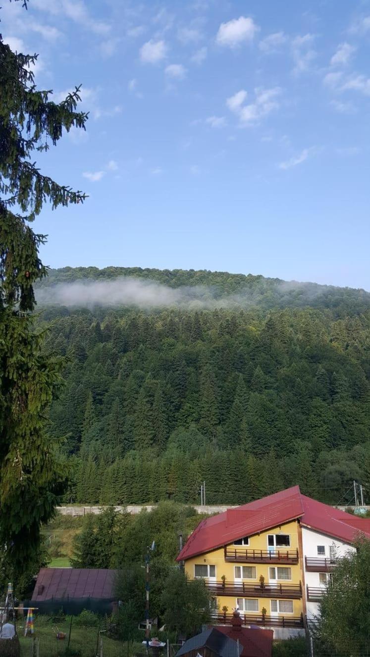 Photo 31