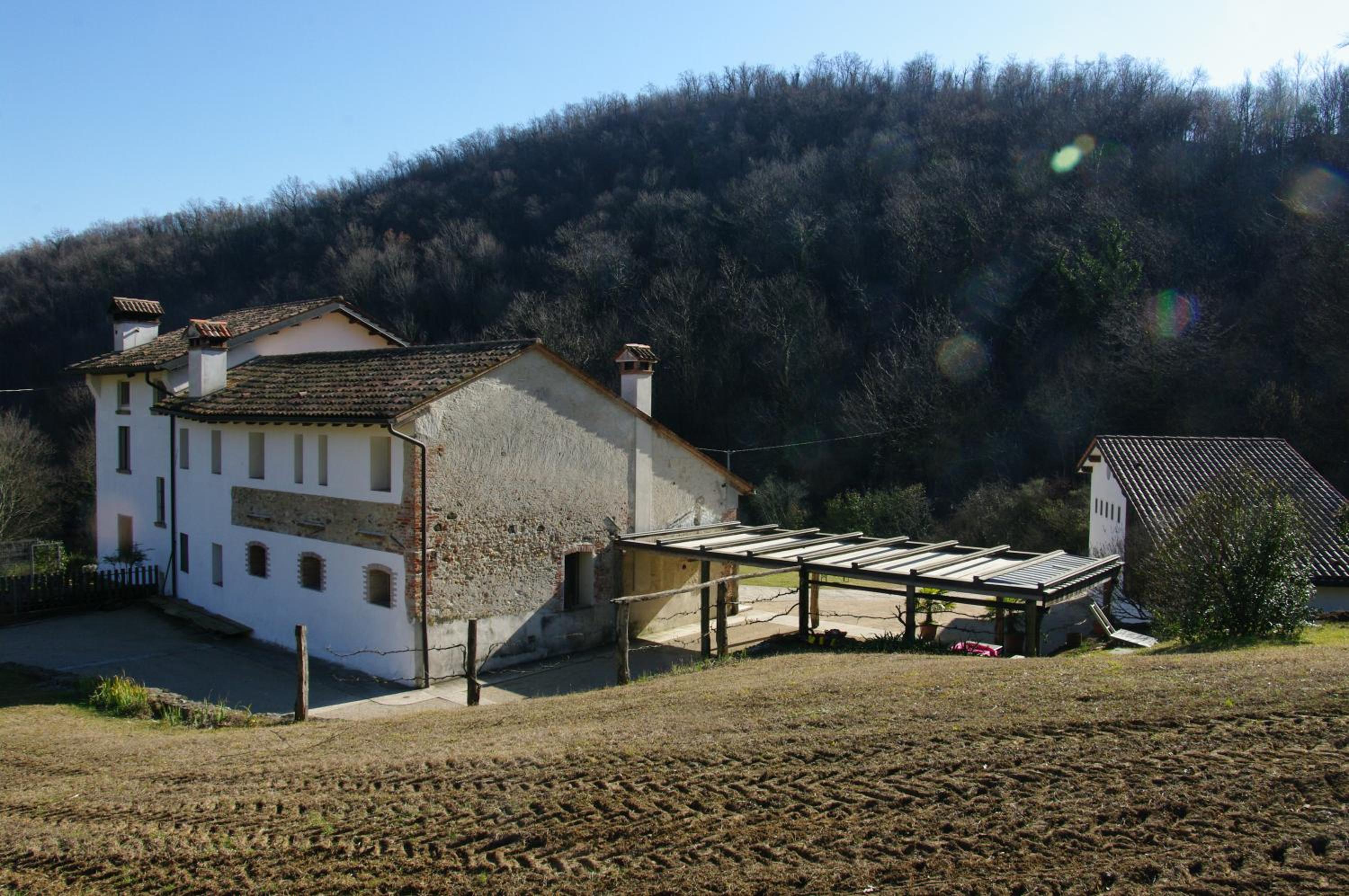 Photo 41
