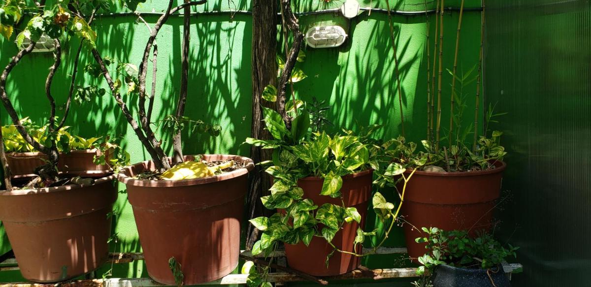 Tango Cozy Home