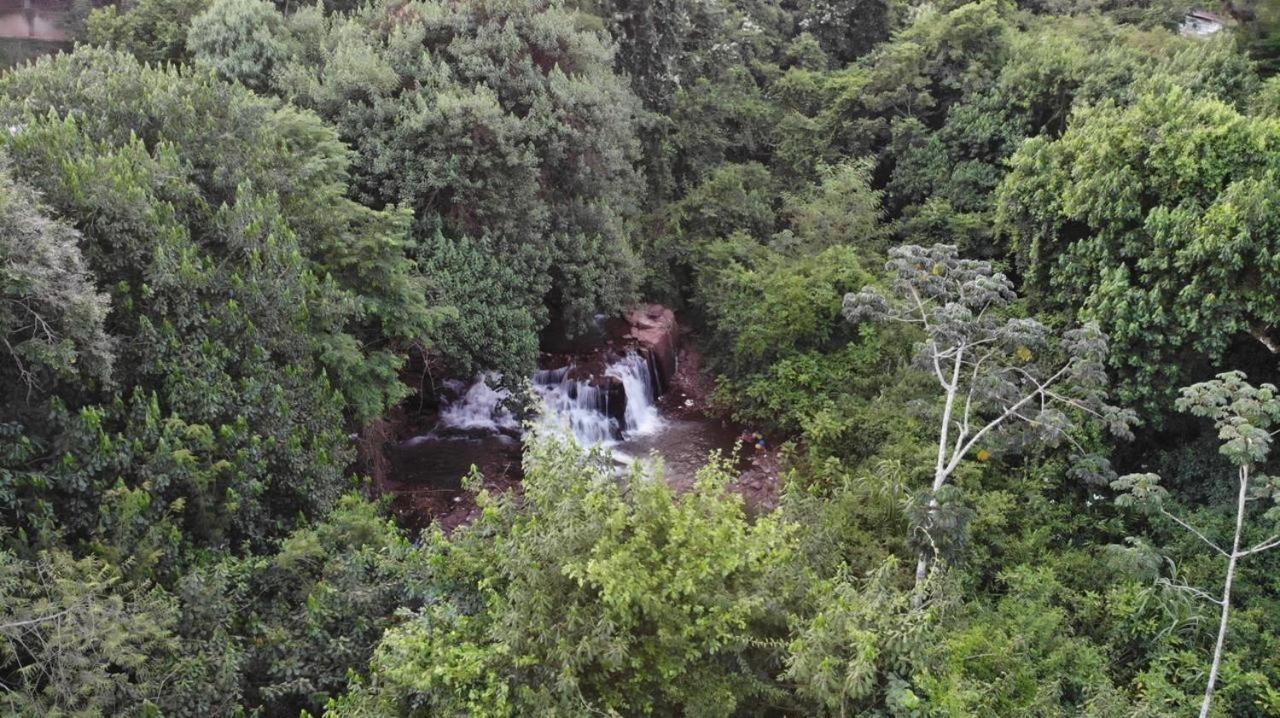 Cachoeira dos pássaros