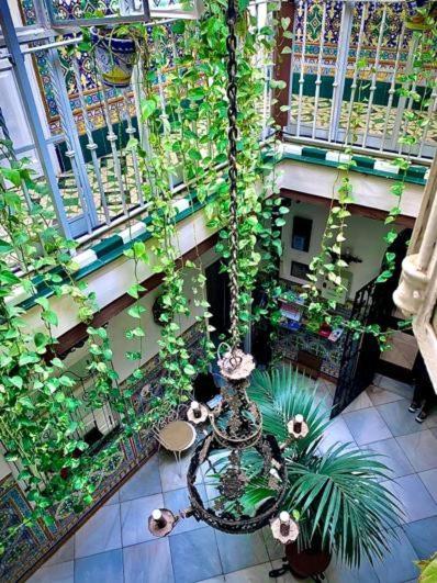 Hostal Lis