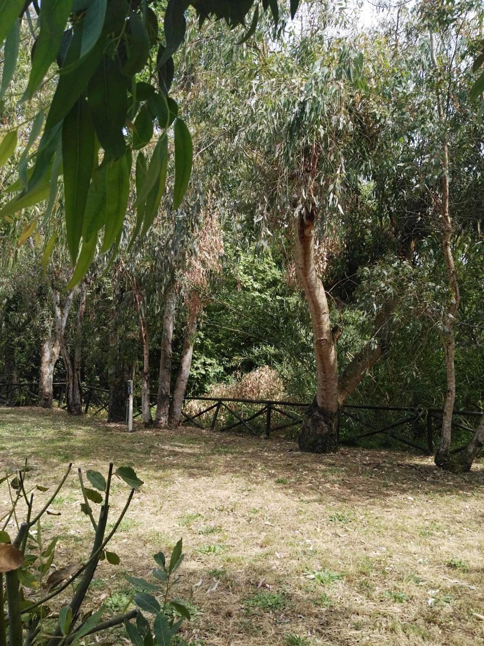 Agriturismo La Petrosa