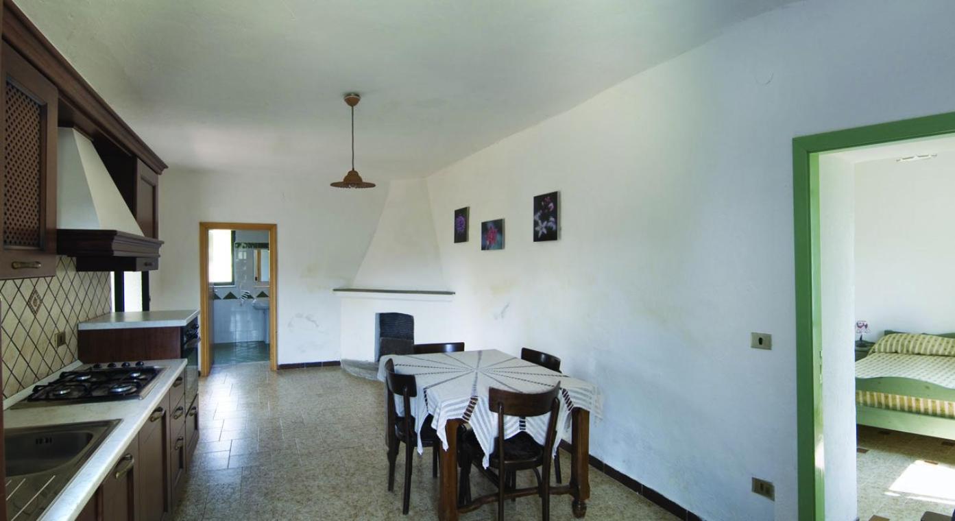Agriturismo La Petrosa