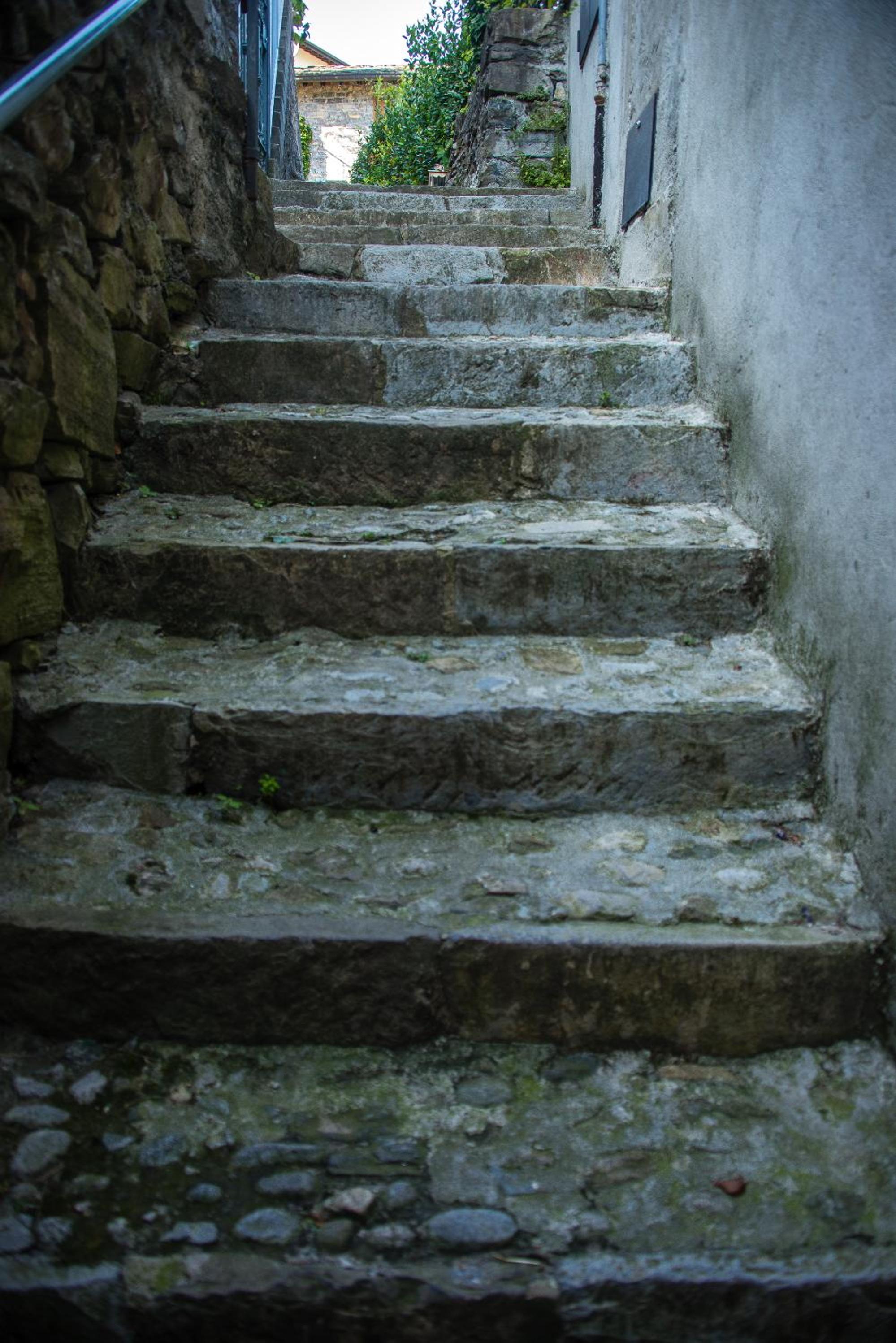 Photo 50