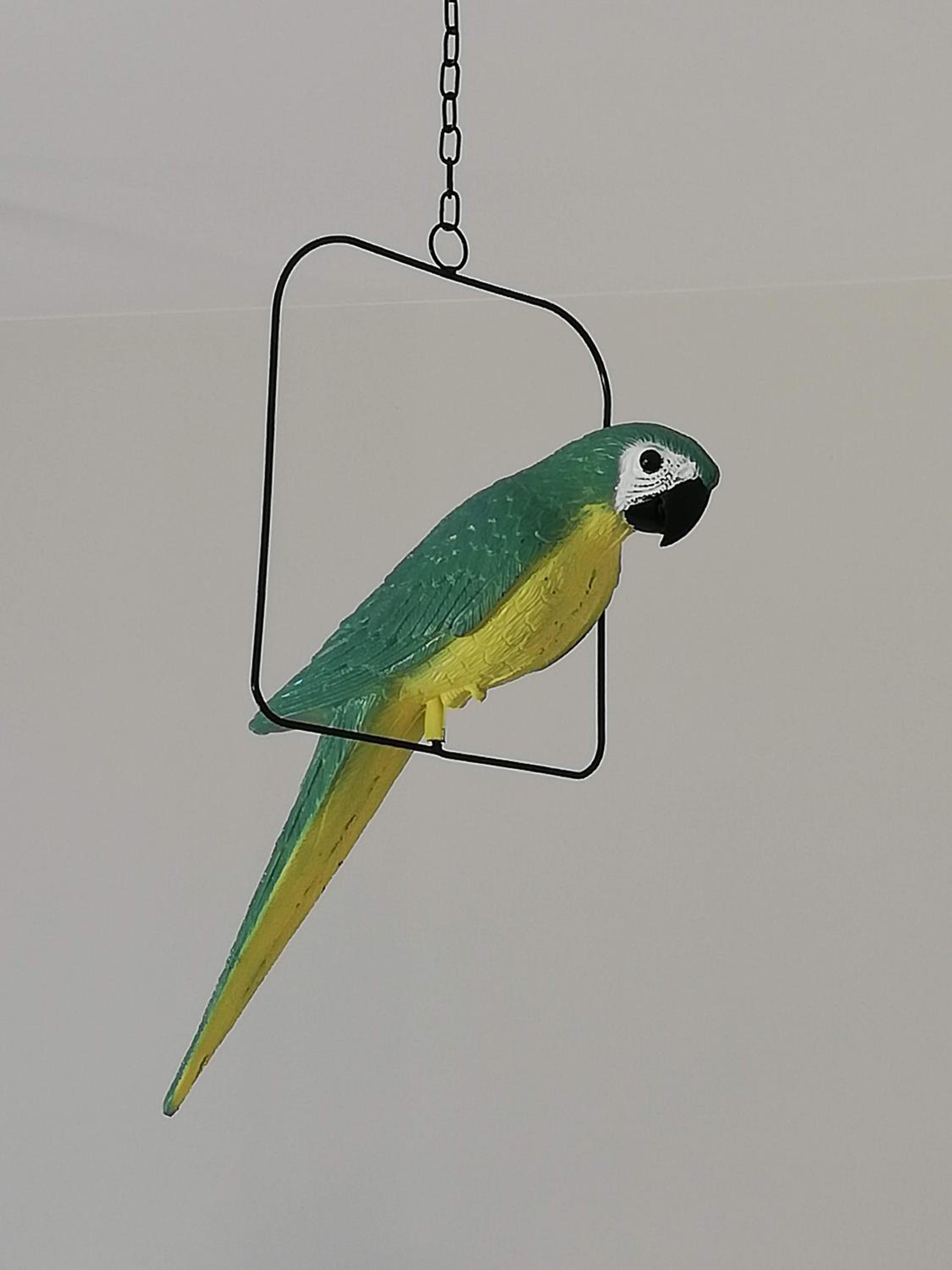 Photo 20