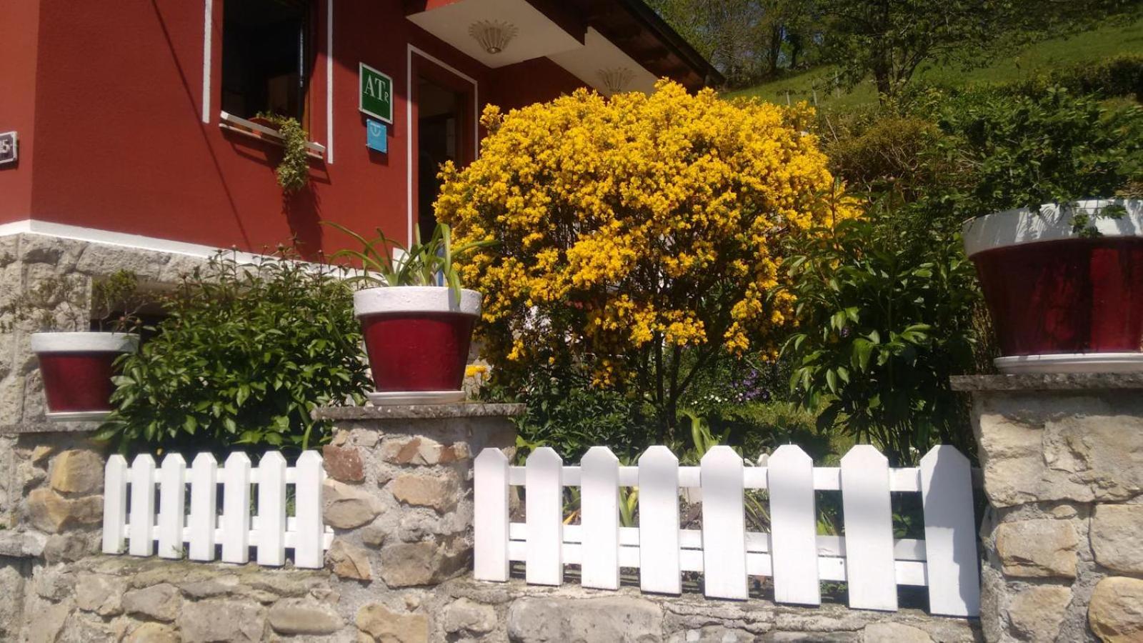 Apartamentos Huerta Carúa I y II view 2