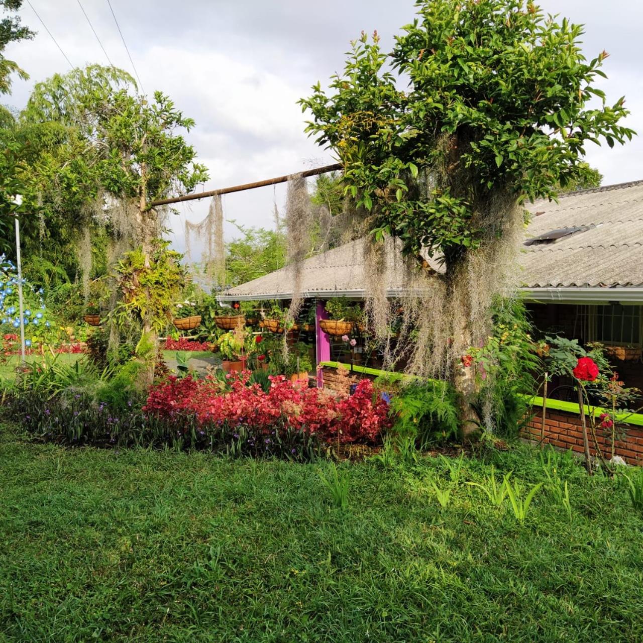 La Acuarela, Posada de La Monita