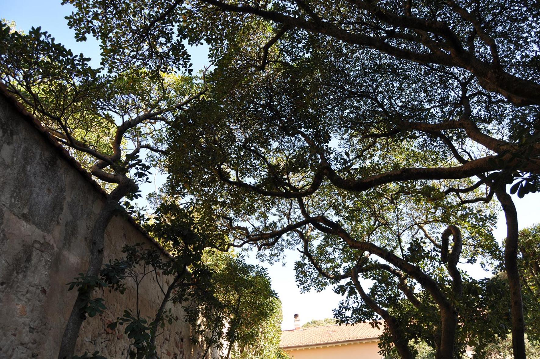 Villa Salvini view 5