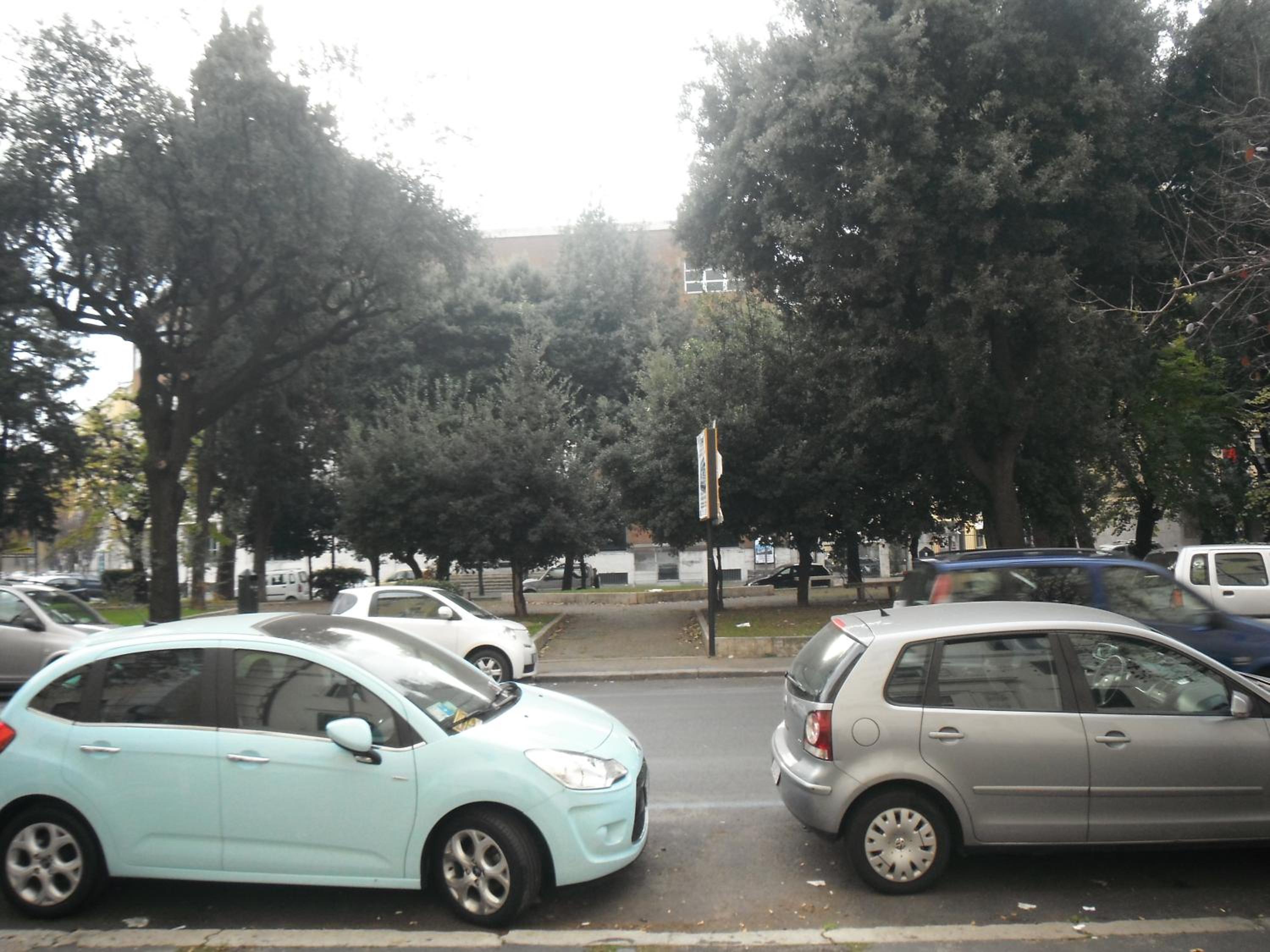 Domi Aloisii