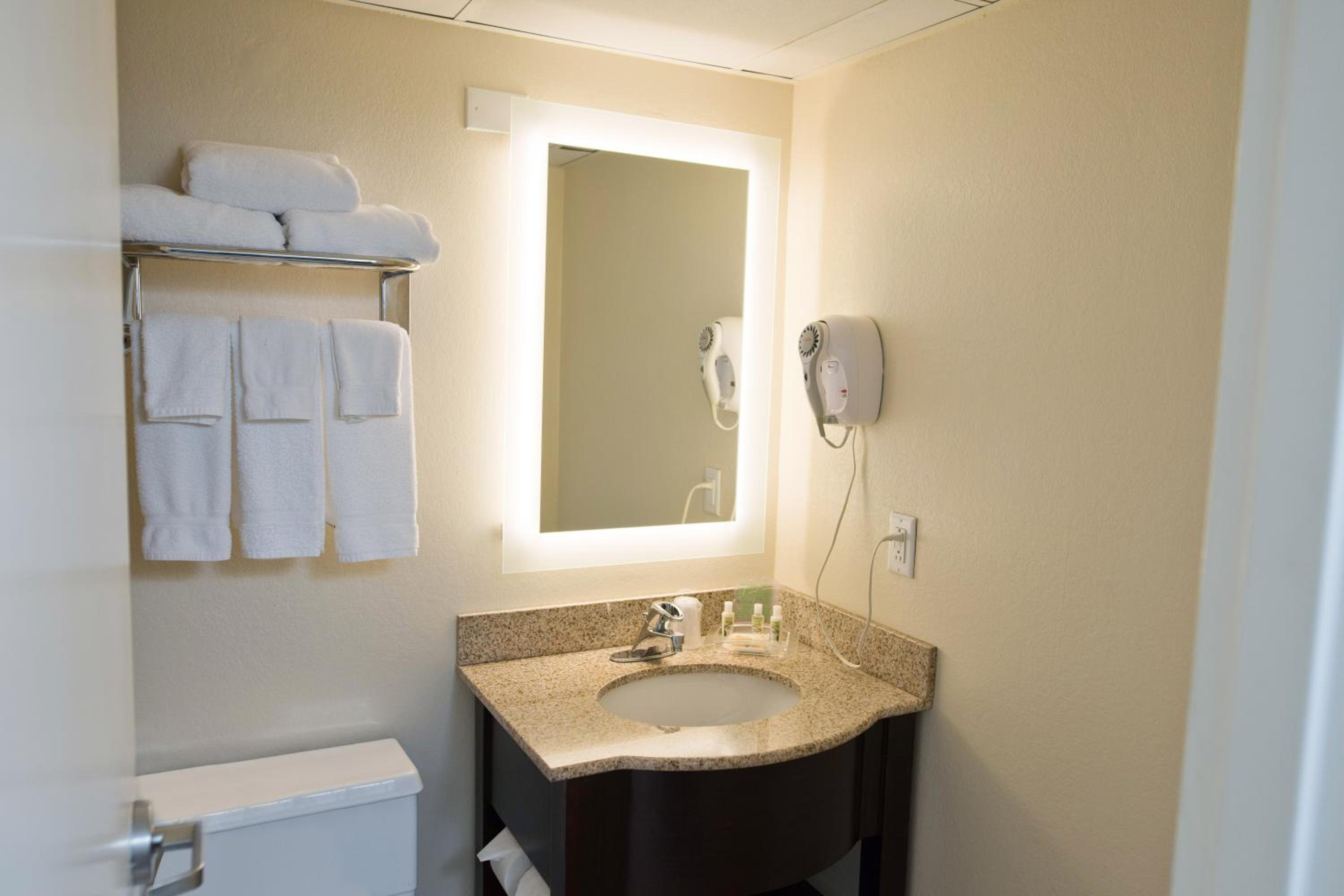 Birmingham Vacations - Holiday Inn Birmingham-Airport, an IHG Hotel - Property Image 23