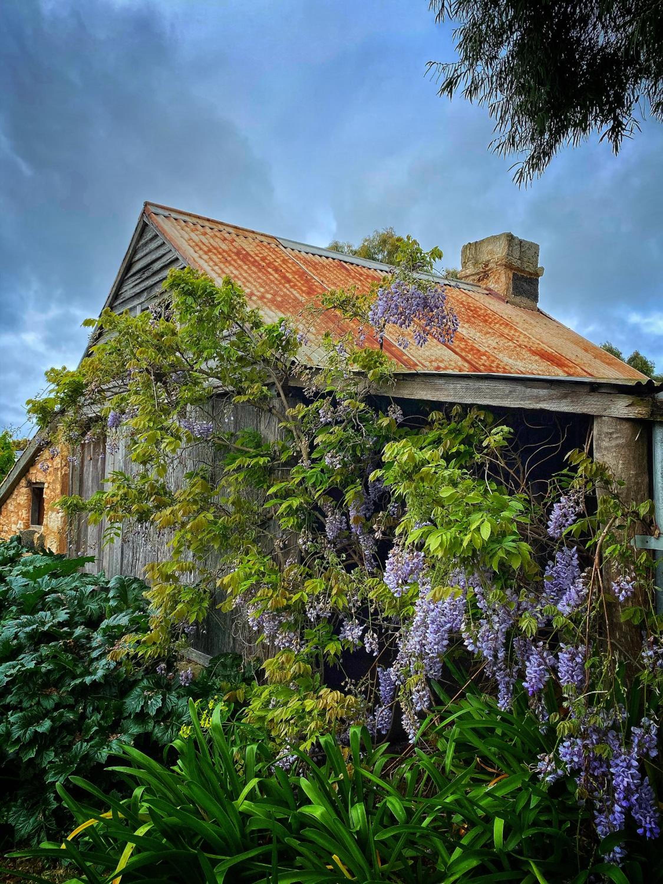 Cherry Plum Cottages