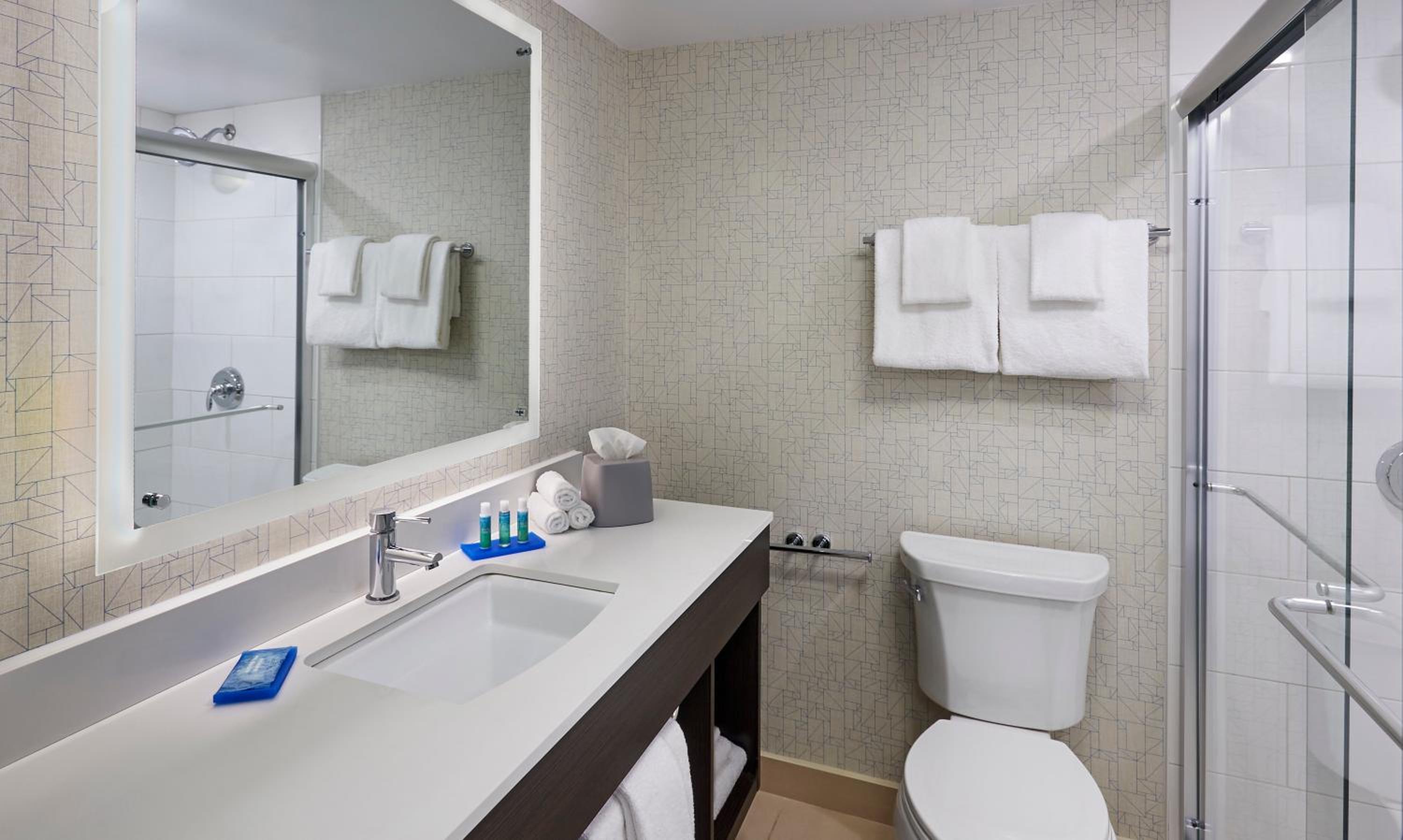 Windsor Vacations - Holiday Inn Express Windsor Waterfront, an IHG Hotel - Property Image 10