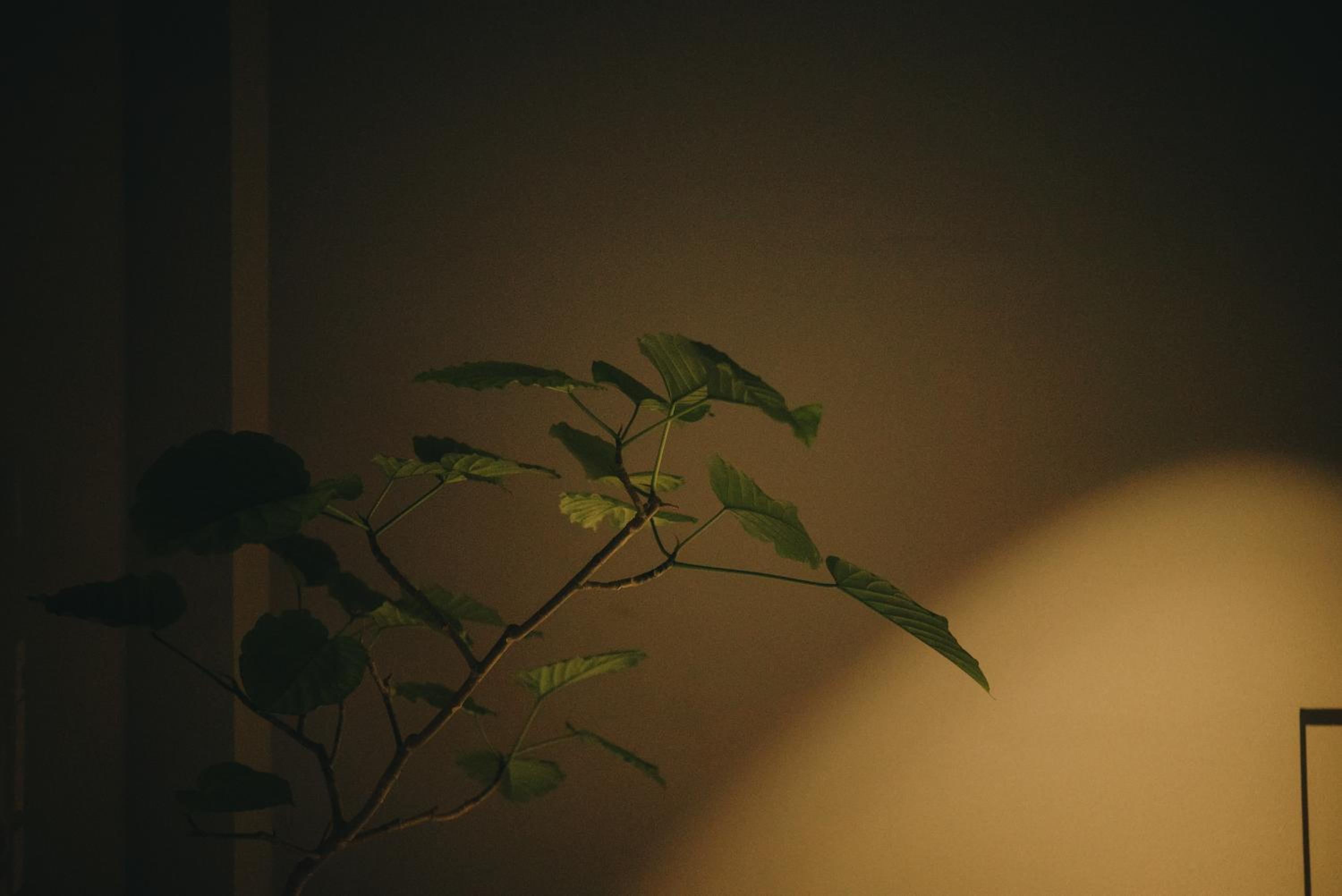other