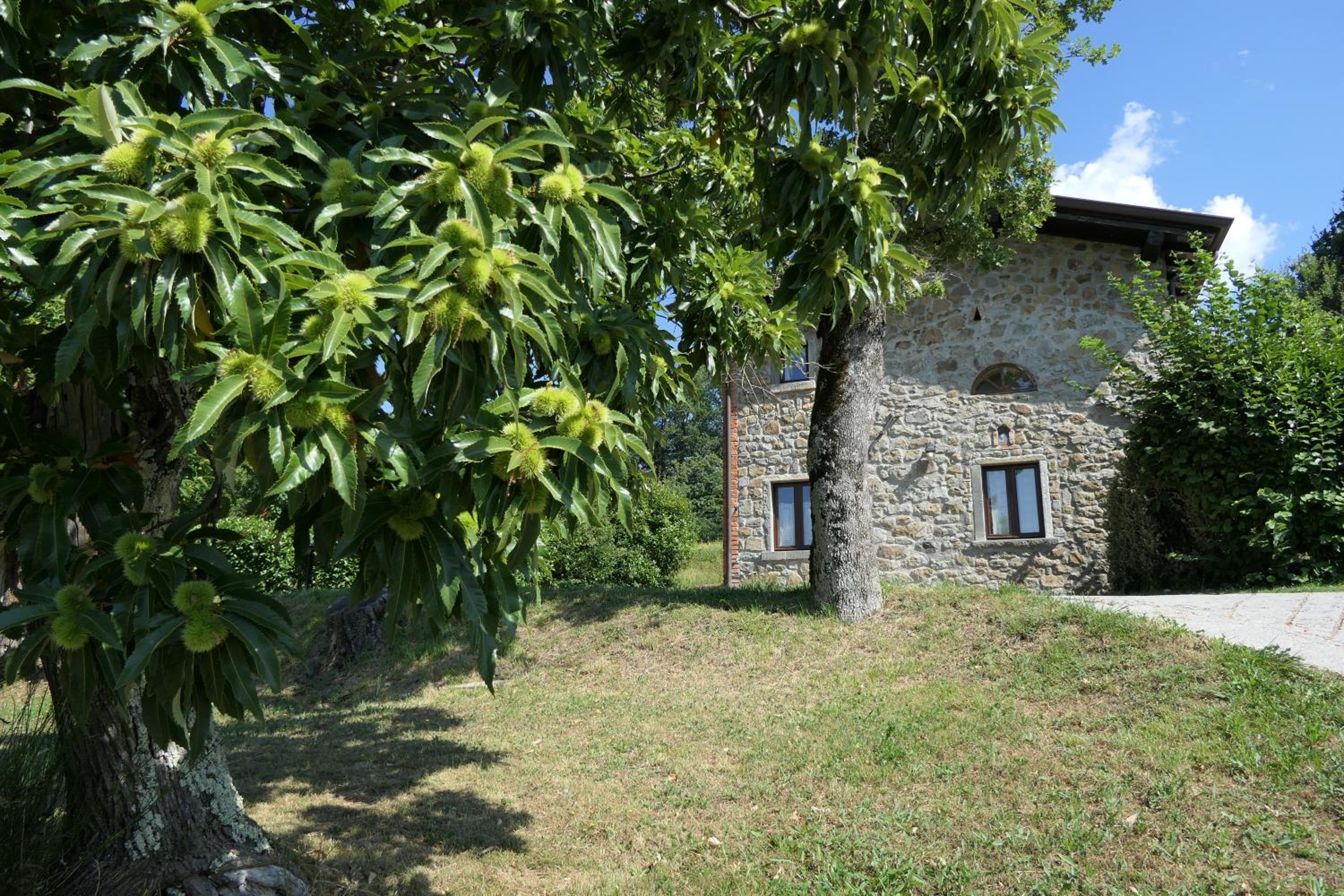 Photo 35