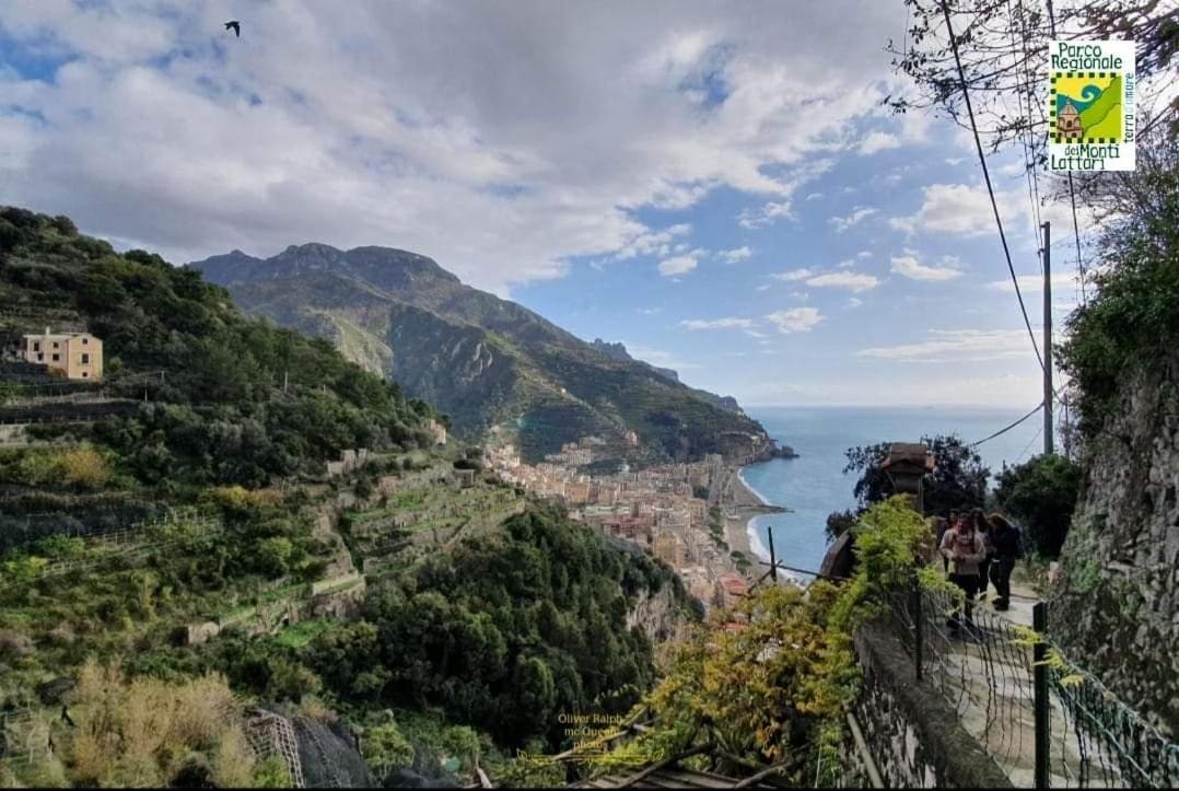 #La limonaia della torretta photo 5