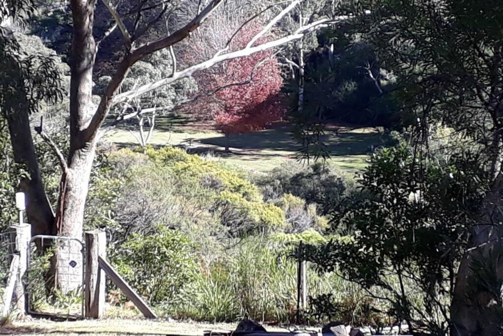 Katoomba Falls Cottage