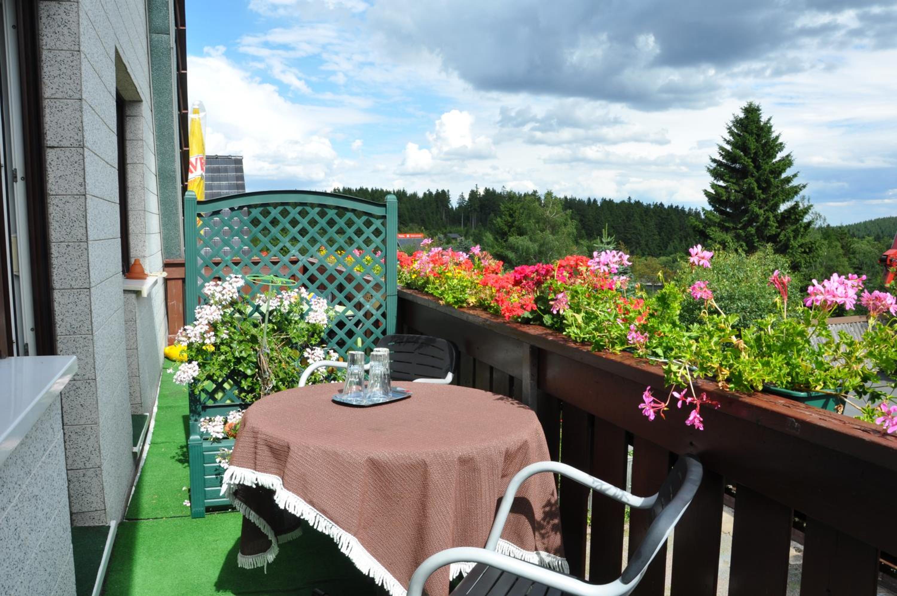 Pension Haus Barbara Oberhof view 4