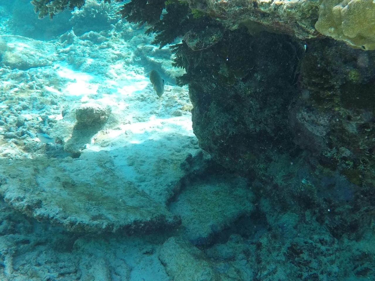 Photo 40