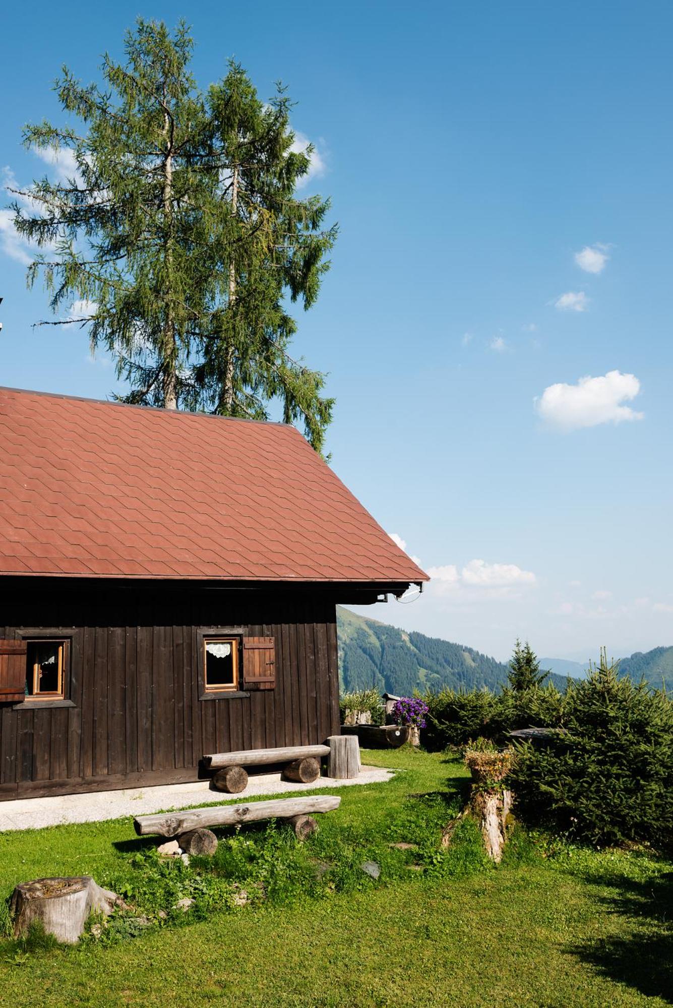 Jagdhütte Gammeringalm