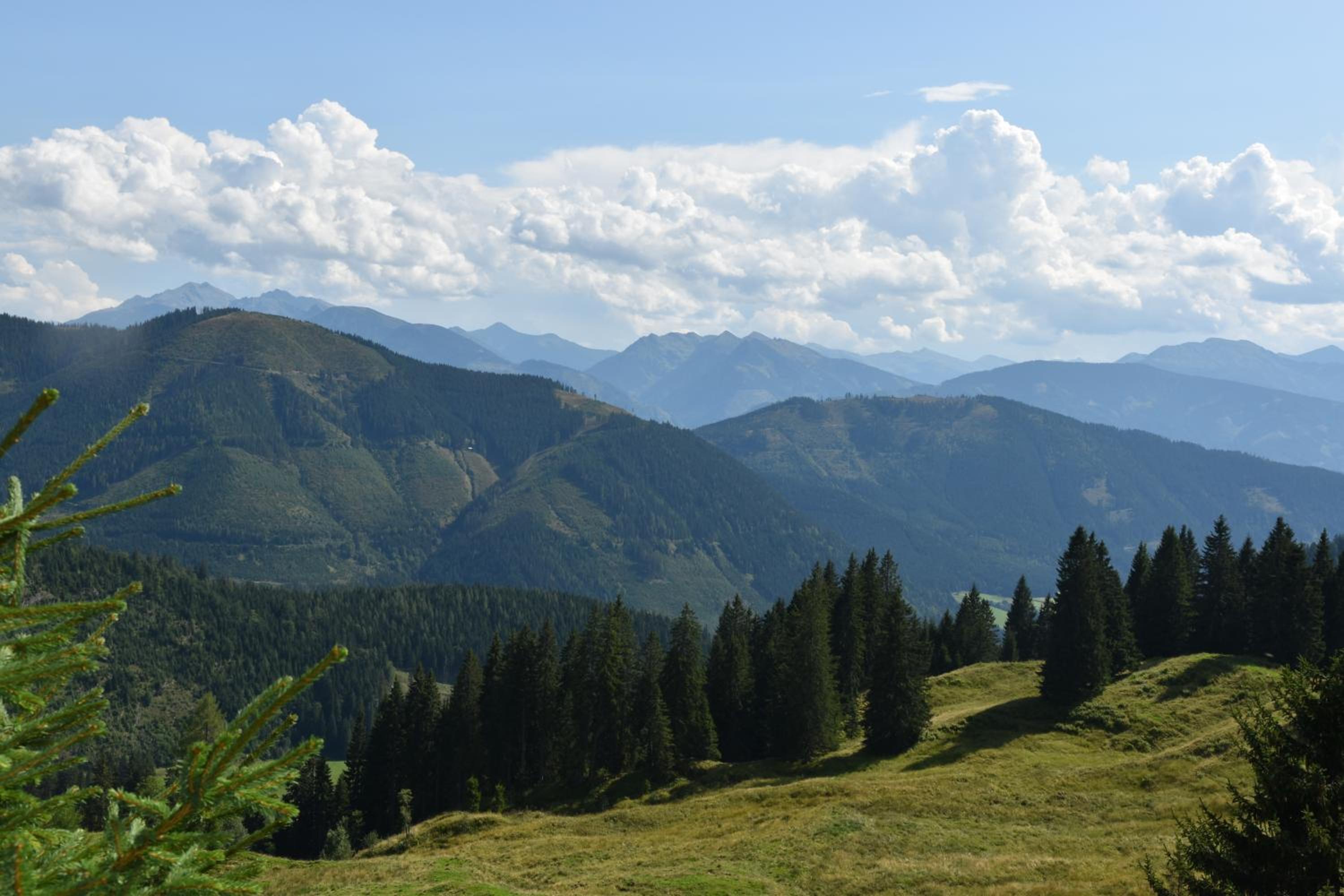Jagdhütte Gammeringalm
