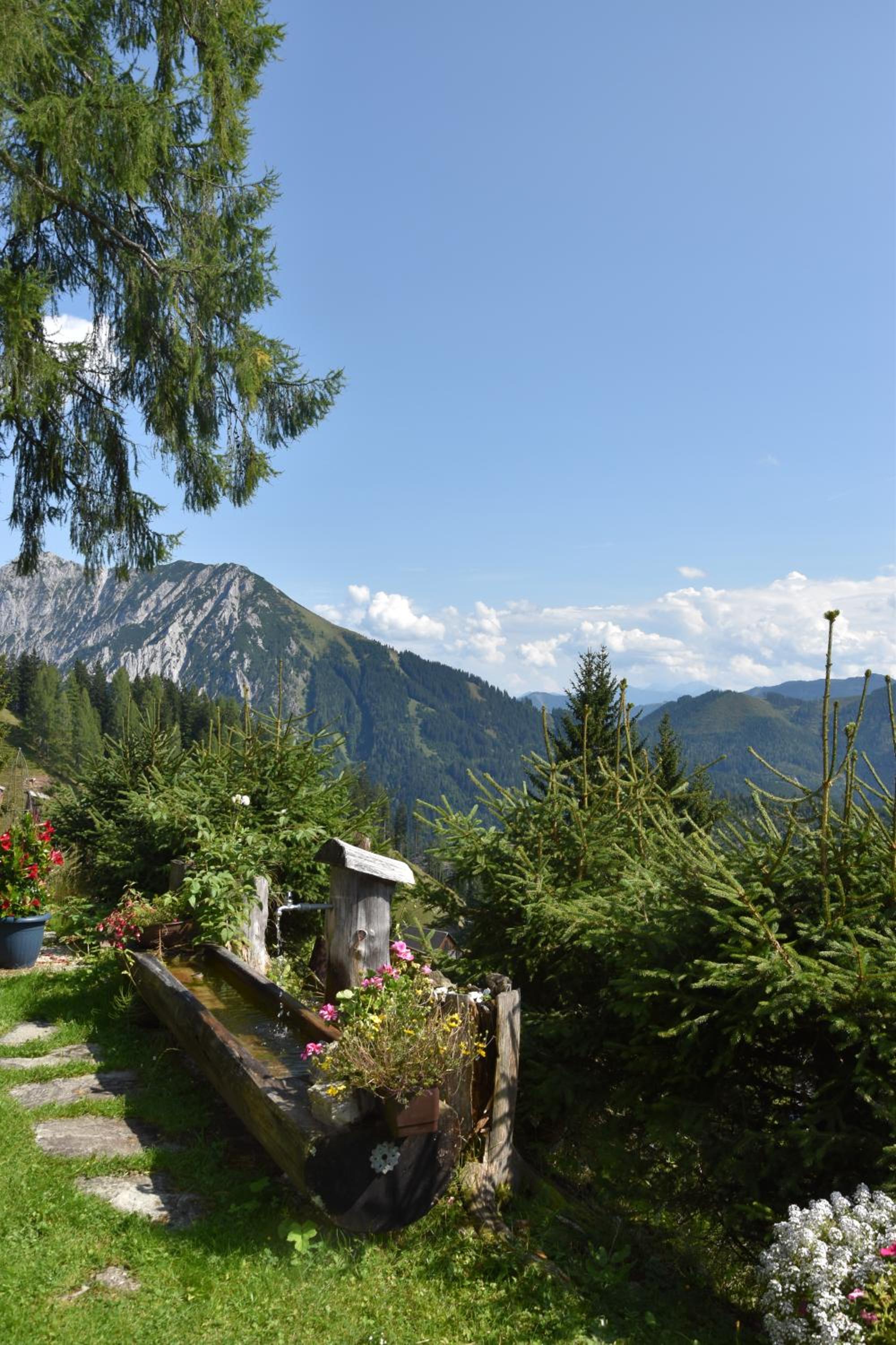 Jagdhütte Gammeringalm