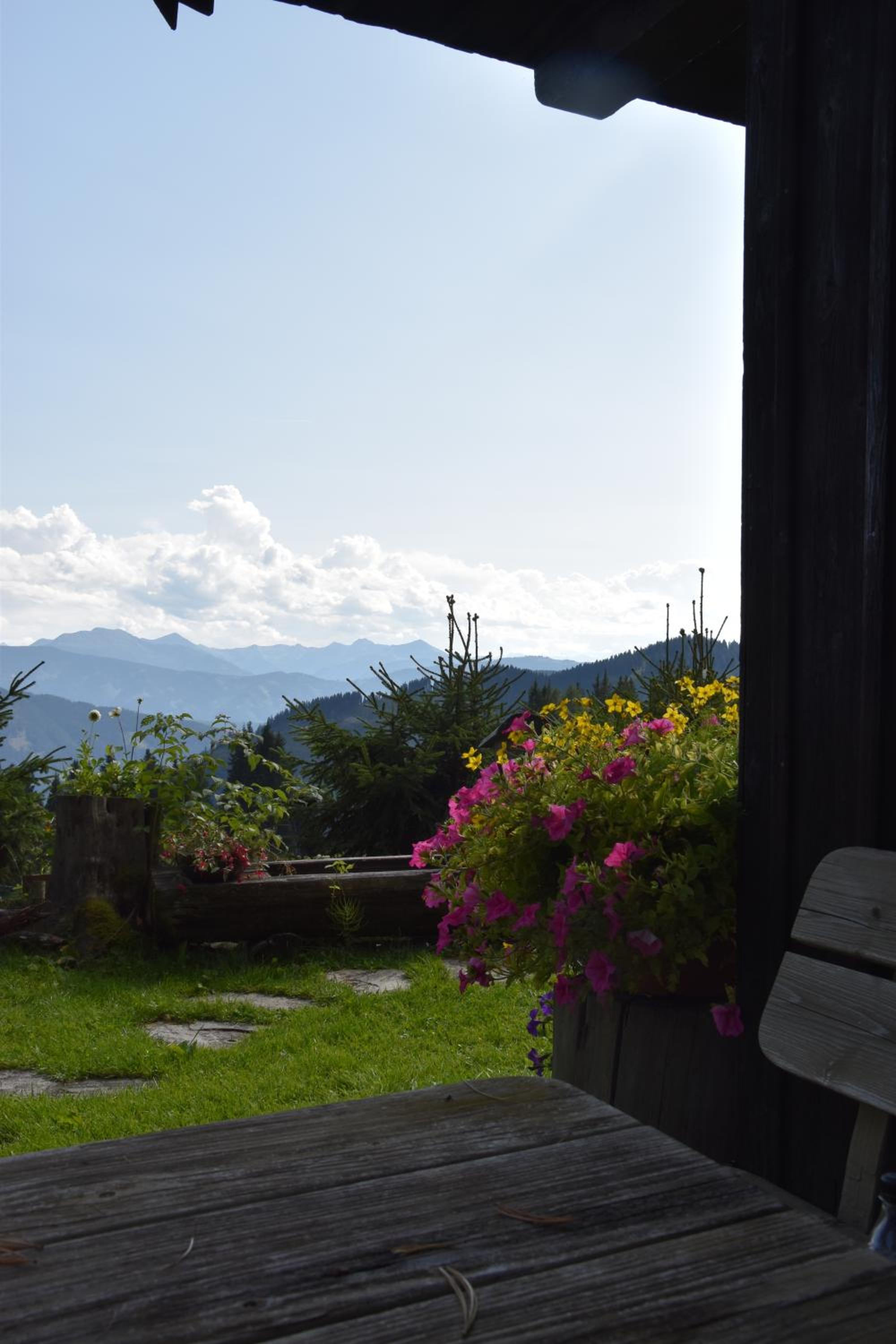 Jagdhütte Gammeringalm