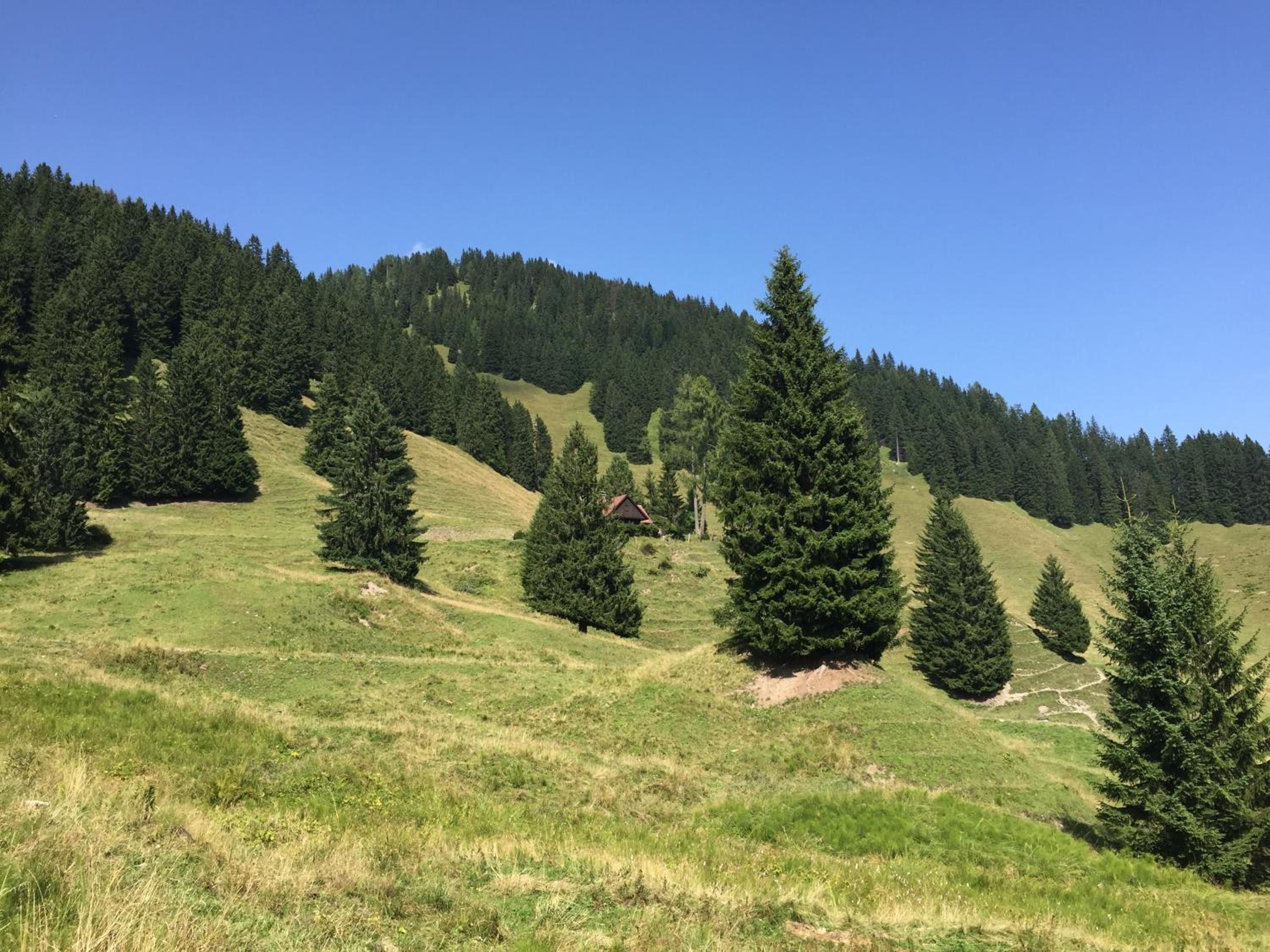 Jagdhütte Gammeringalm