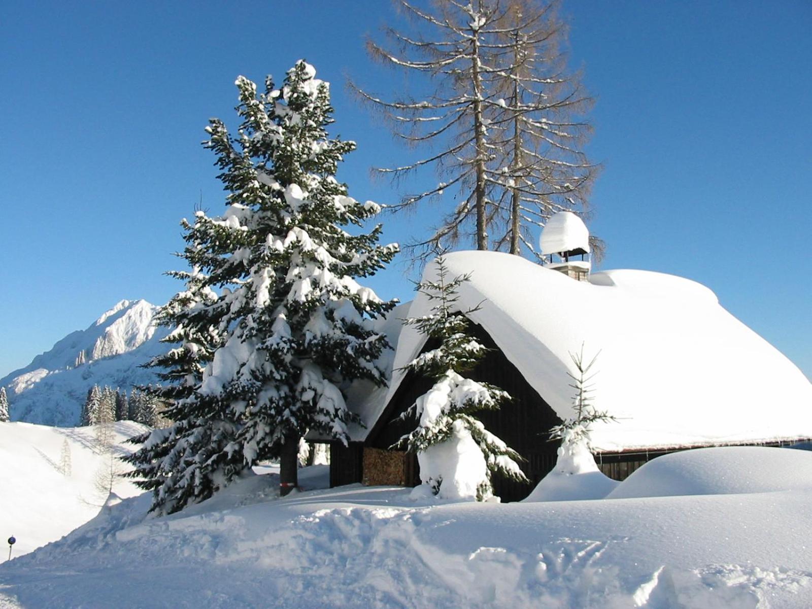 Jagdhütte Gammeringalm