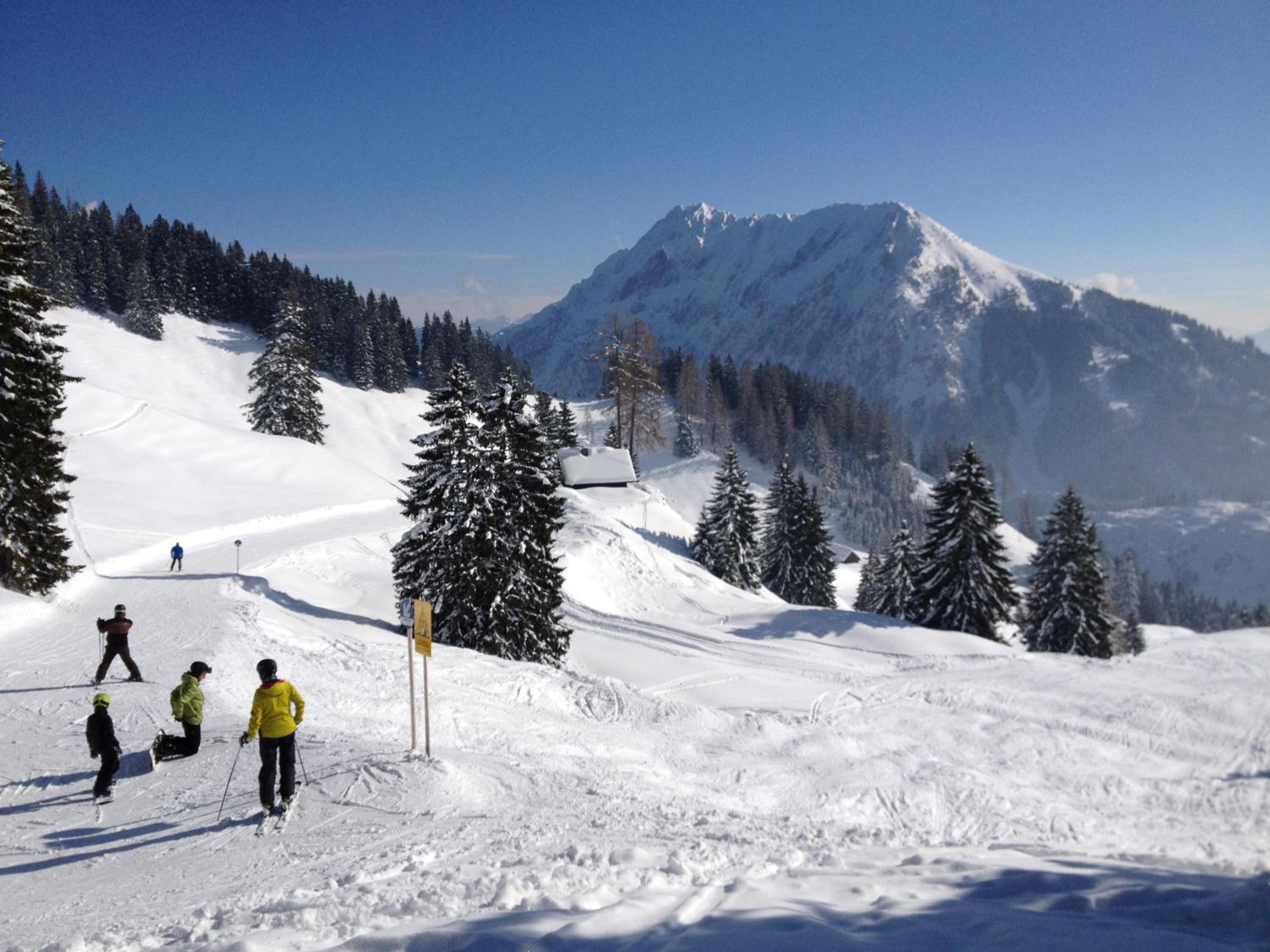 Jagdhütte Gammeringalm