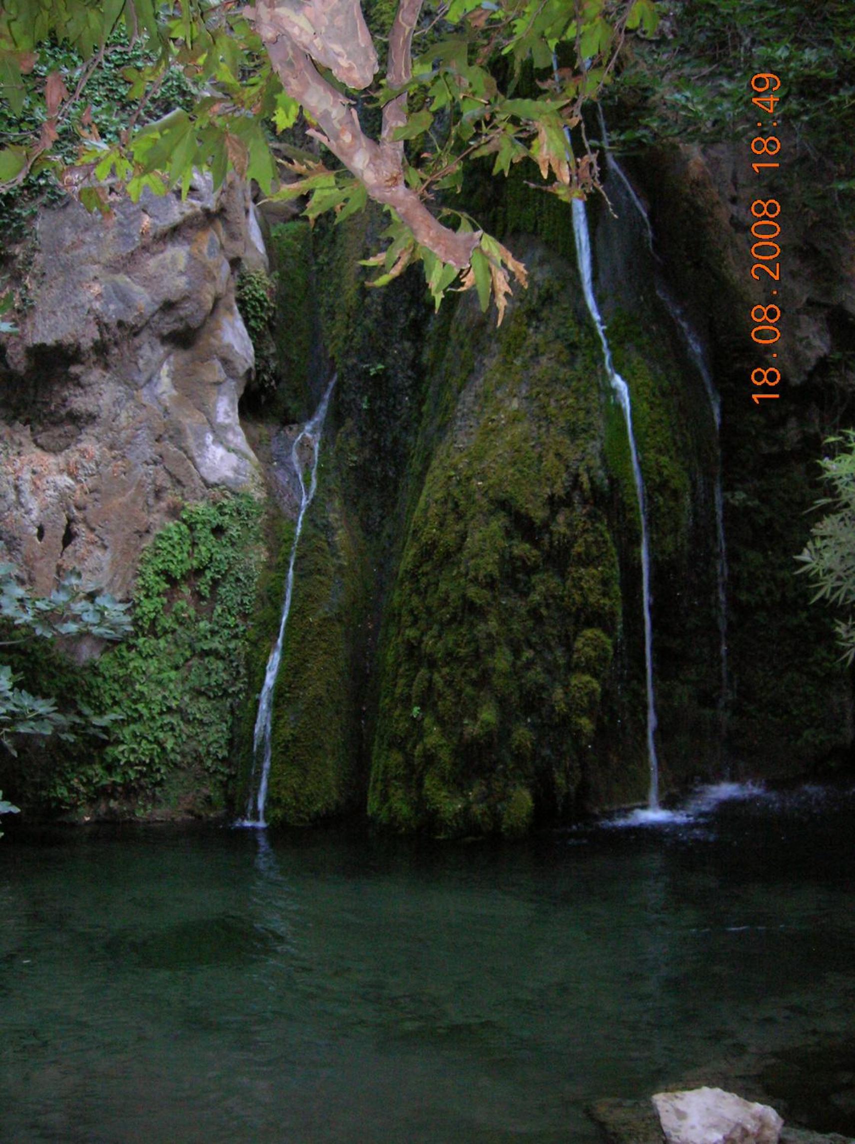 Photo 31