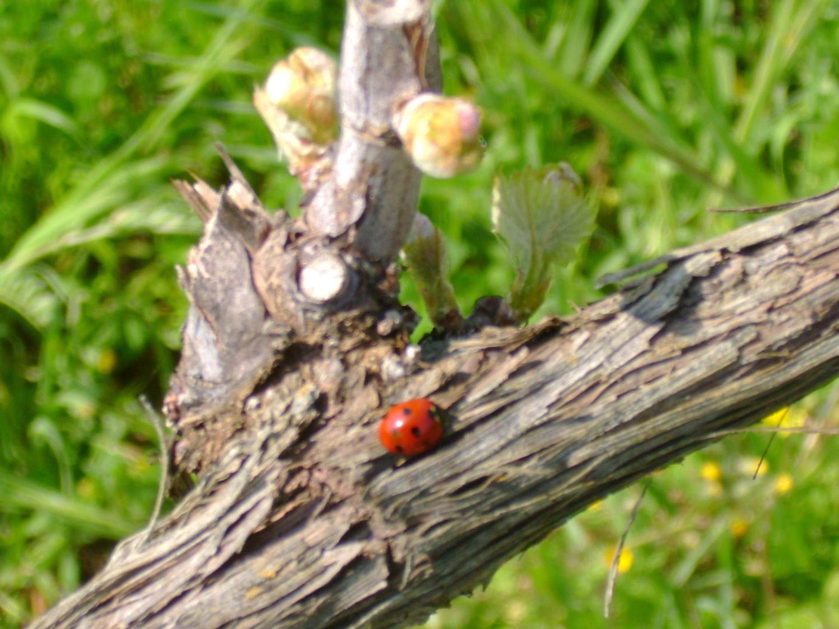 Photo 41