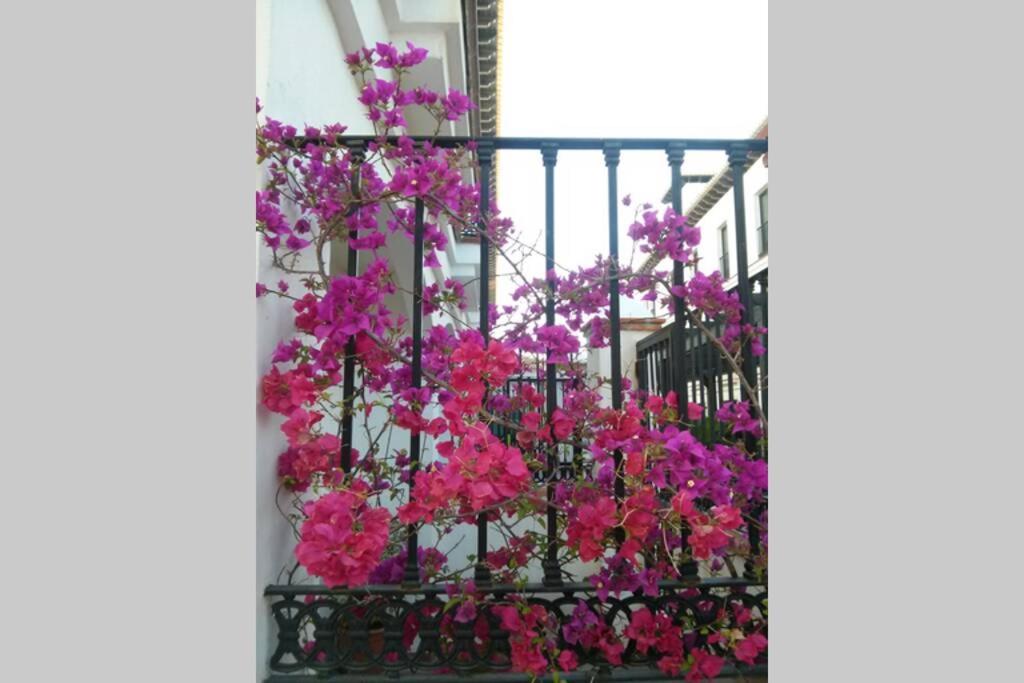 Photo 42