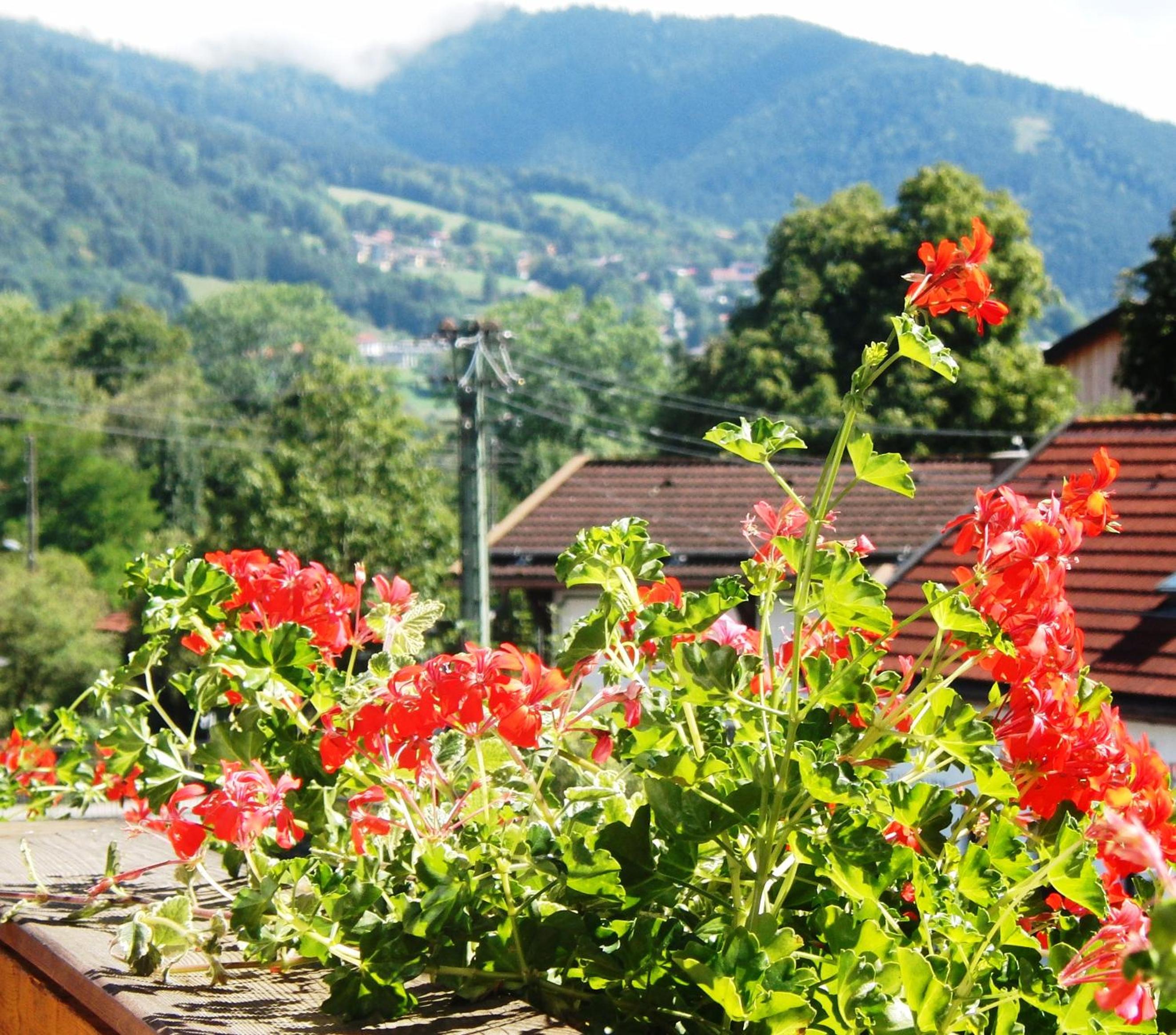 Haus Christoph