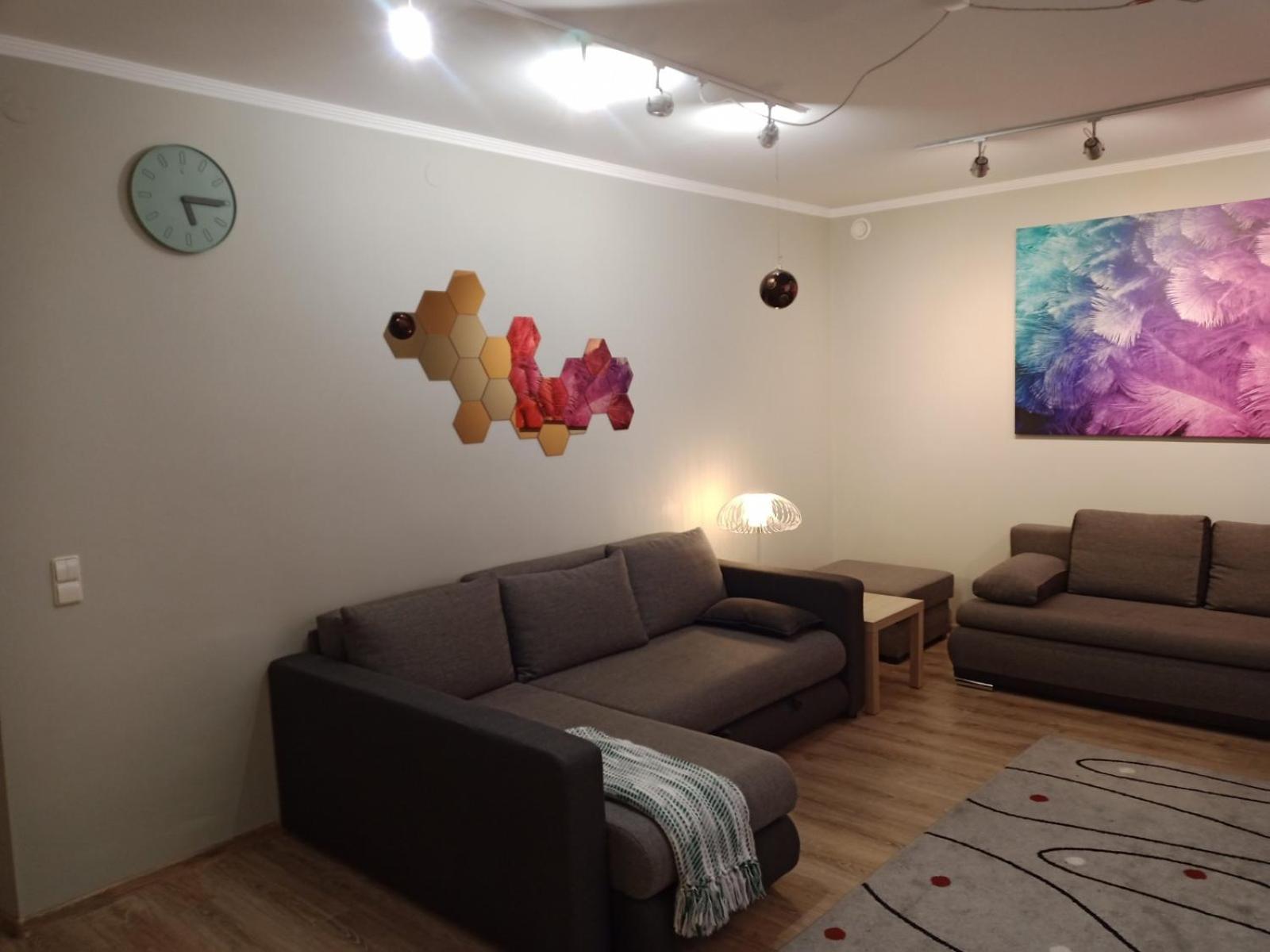 Family or Group Apartment in Green Center view 3