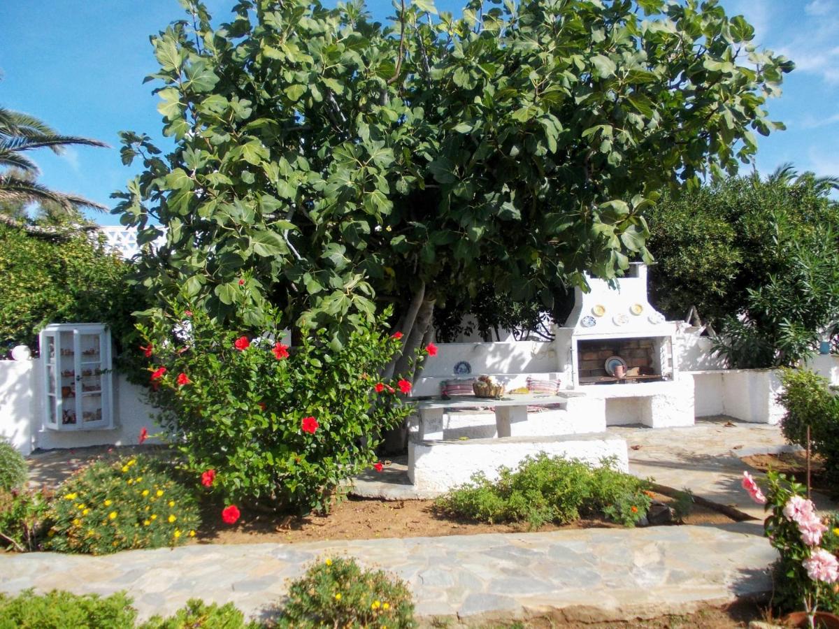 Photo 25