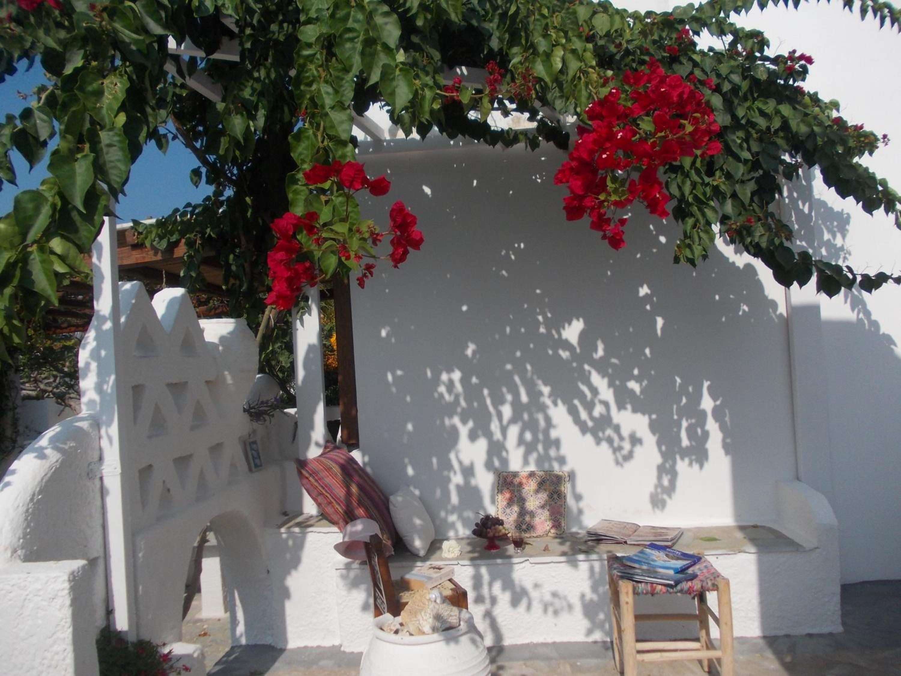 Photo 27